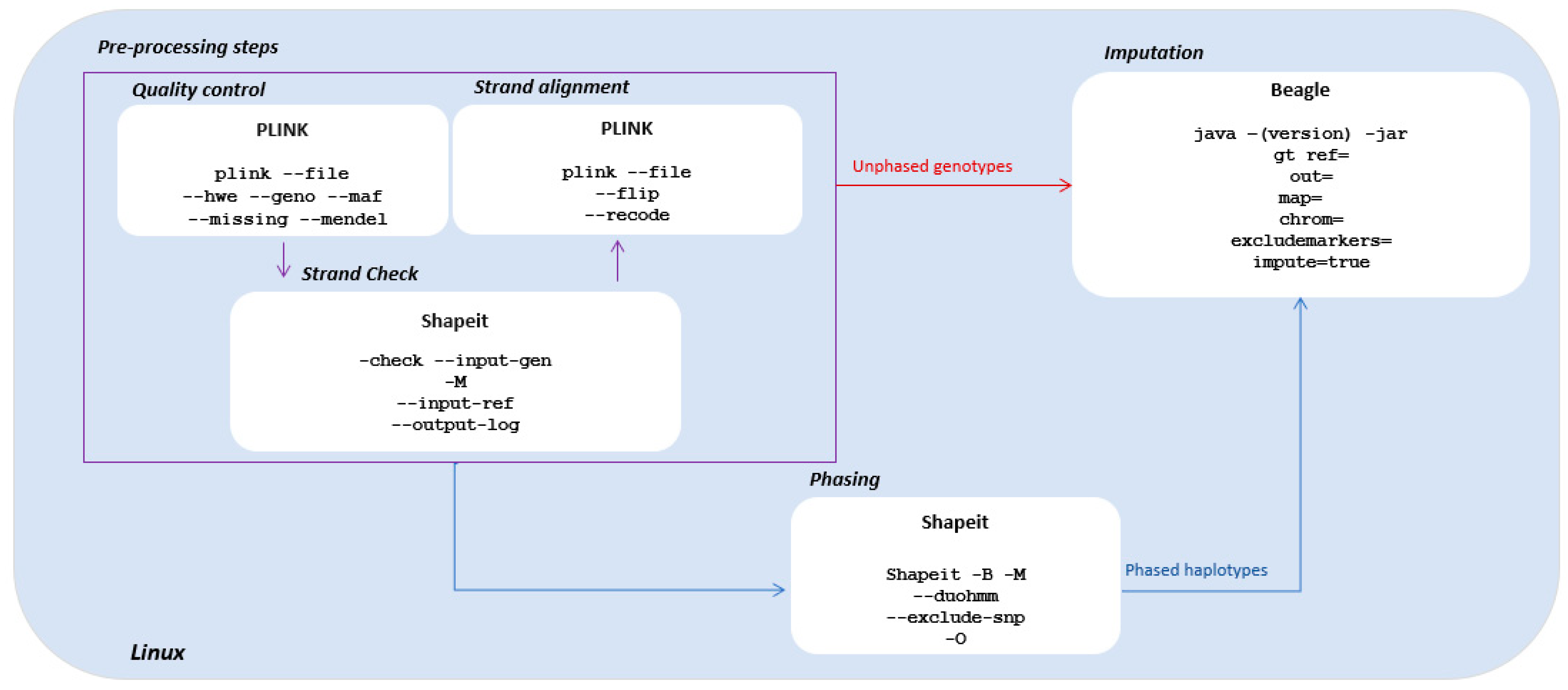 A Pipeline for Phasing and Genotype Imputation on Mixed Human Data ...