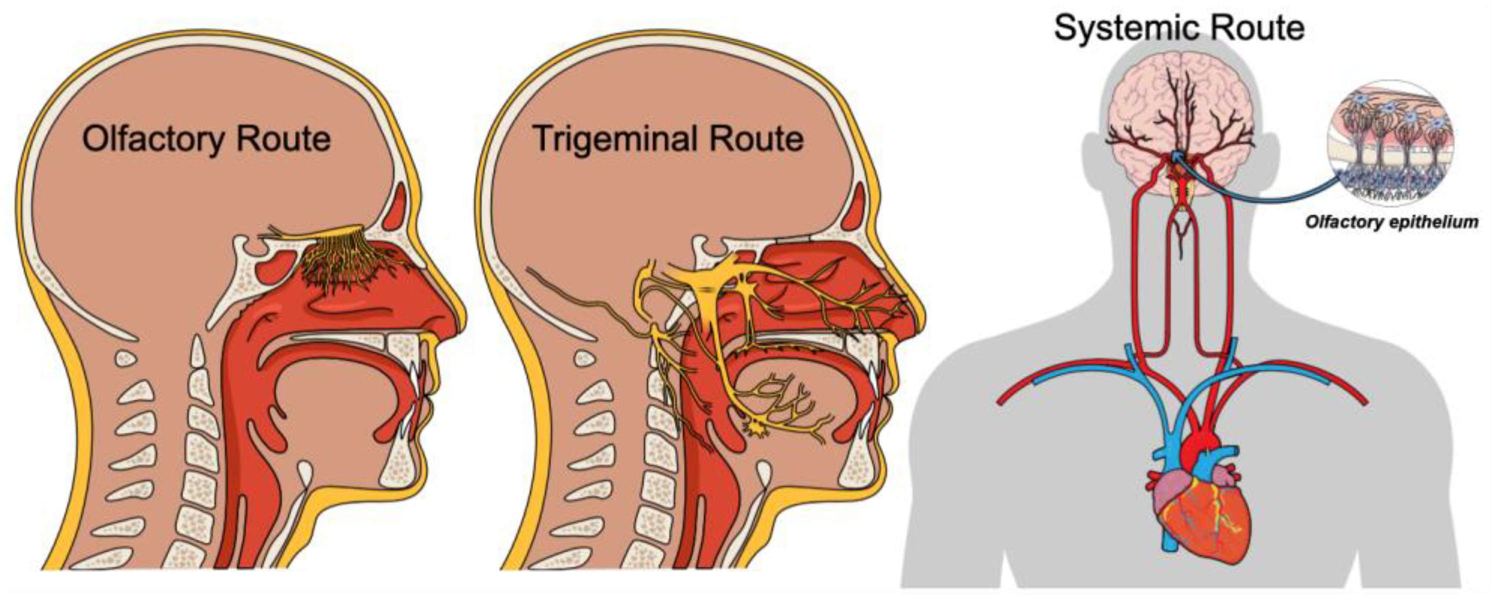 Life 12 02043 g001 Life 12 02043 g001