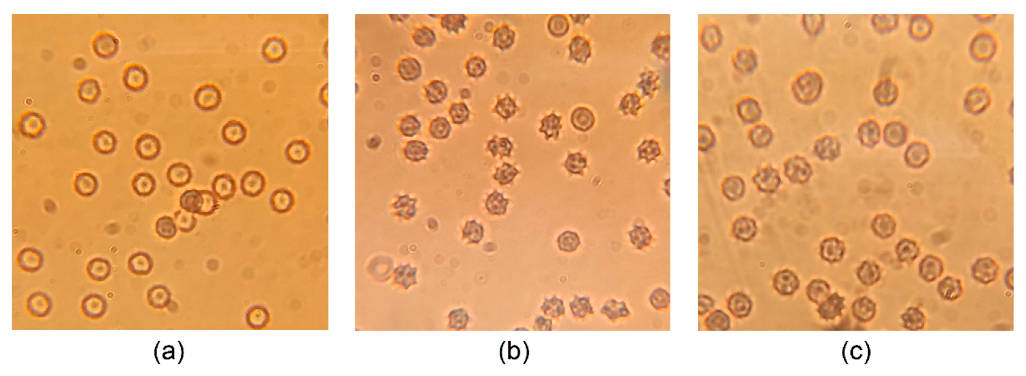 Life 12 02045 g005 Life 12 02045 g005