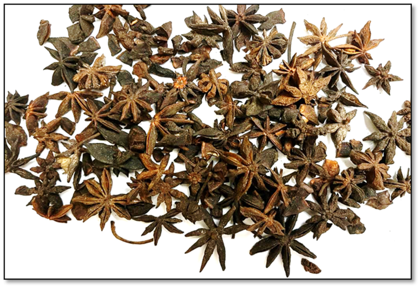 Life 12 02054 g001 Life 12 02054 g001