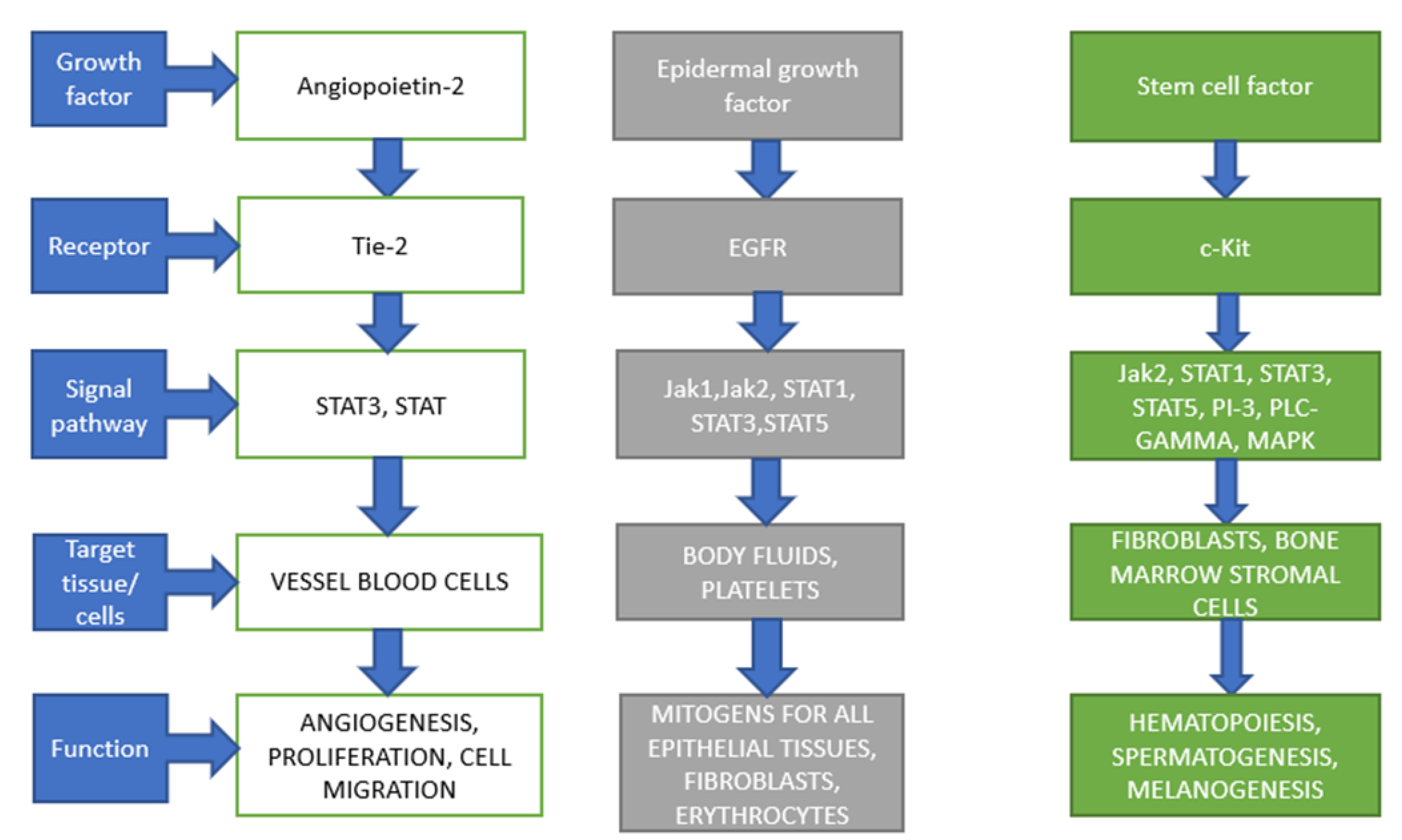 Life 12 02072 g001 Life 12 02072 g001