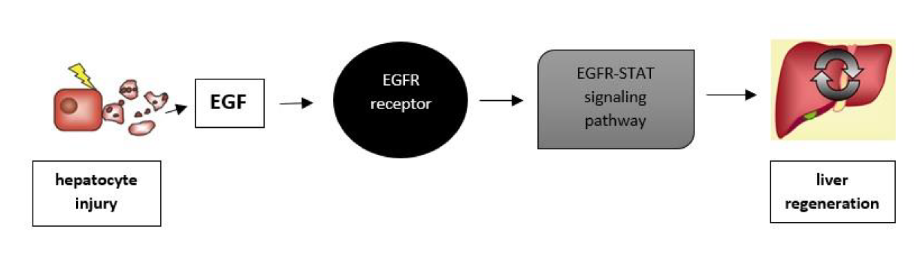 Life 12 02072 g003 Life 12 02072 g003