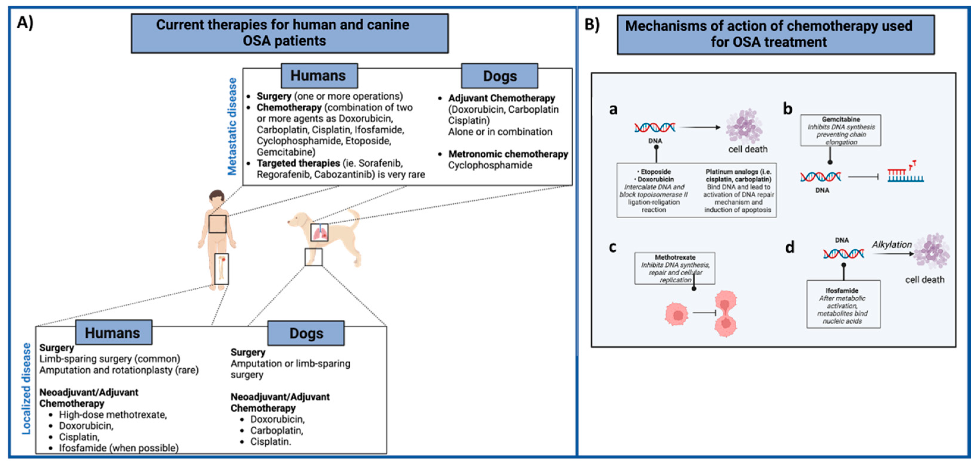 Life 12 02099 g001 Life 12 02099 g001