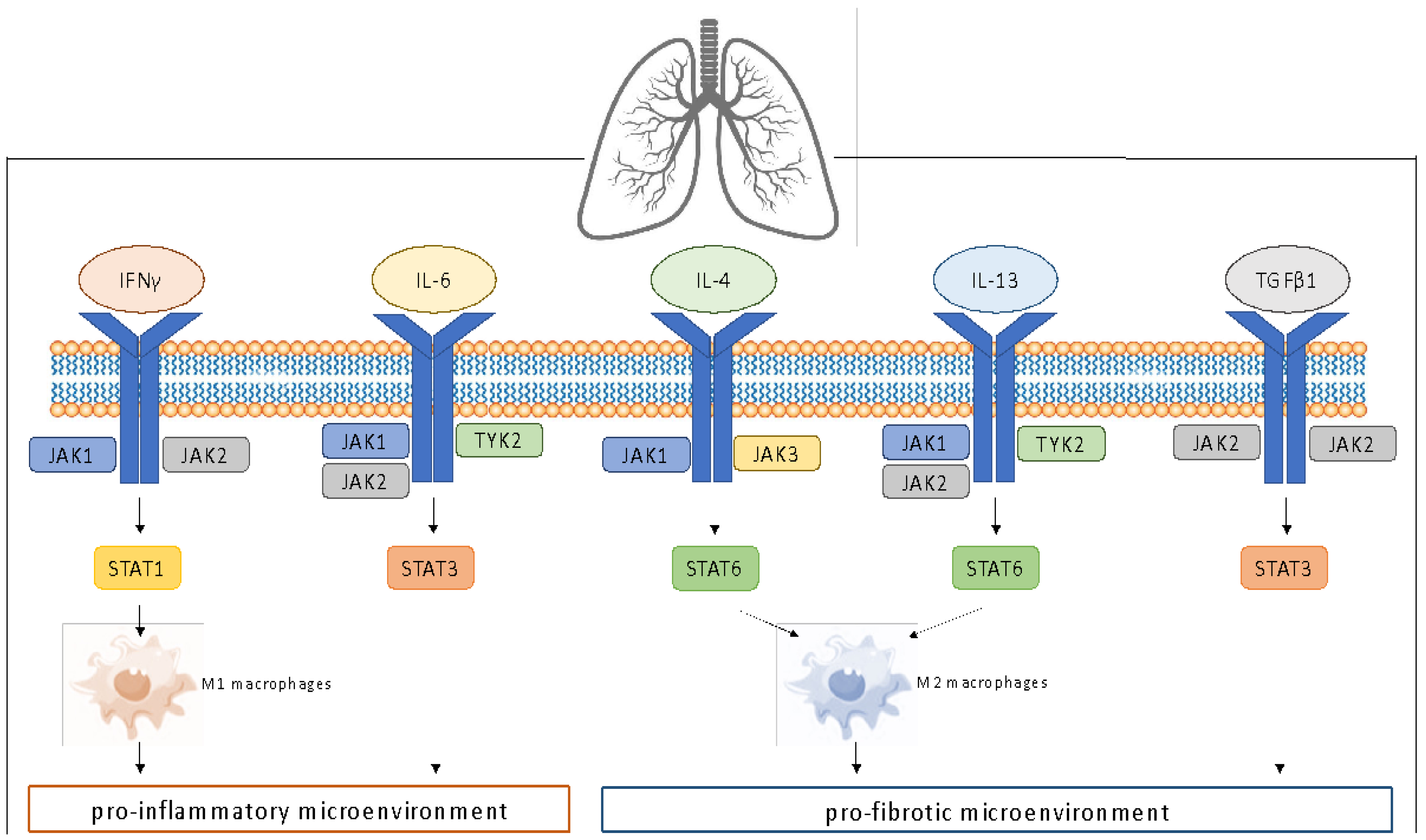 Life 12 02101 g001 Life 12 02101 g001