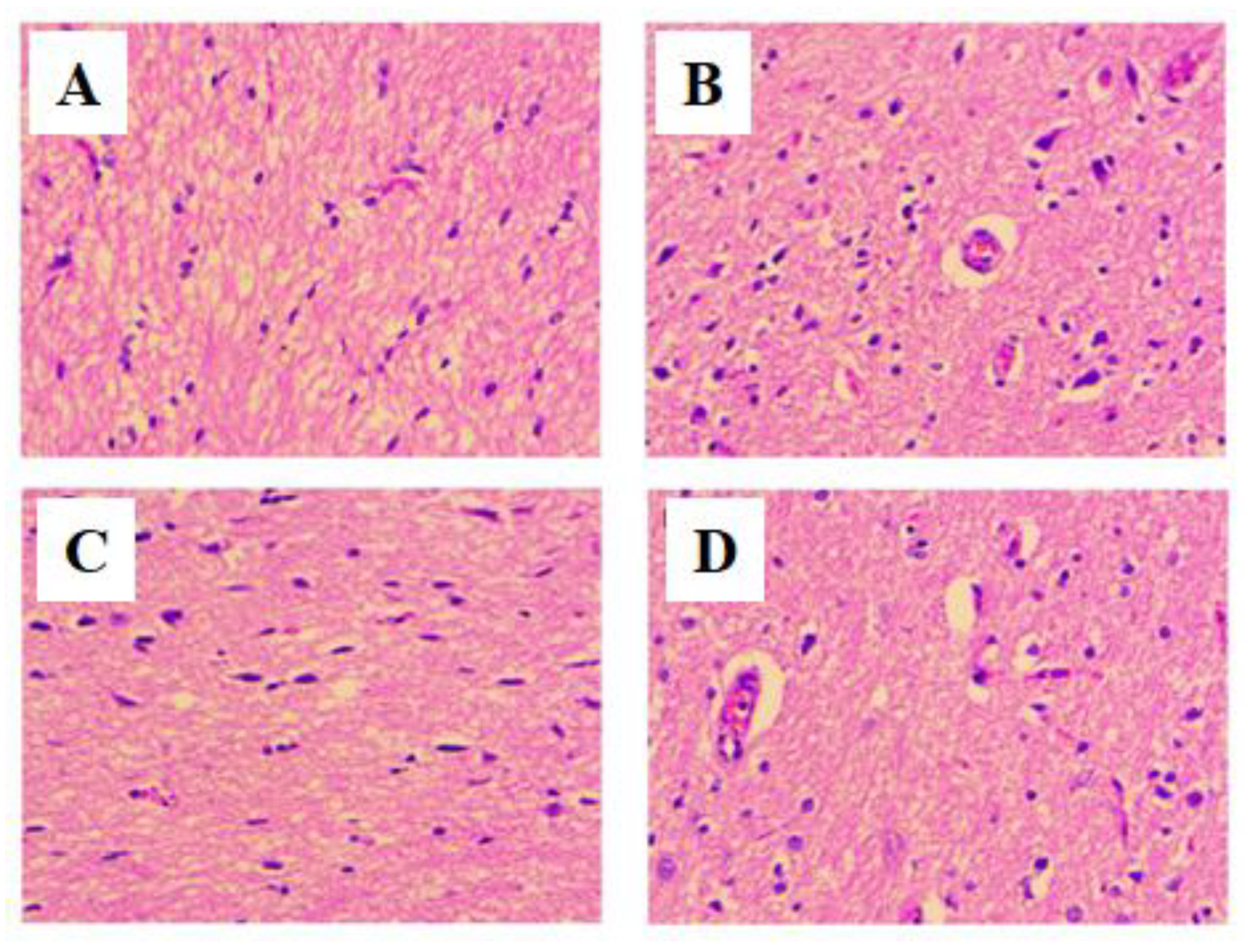 Life 12 02111 g008 Life 12 02111 g008