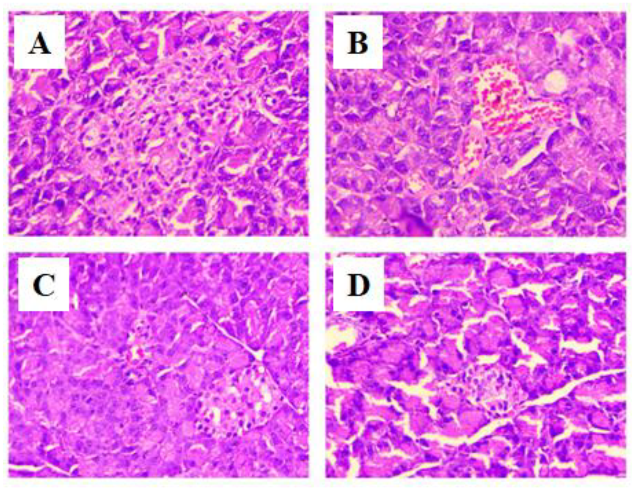 Life 12 02111 g009 Life 12 02111 g009