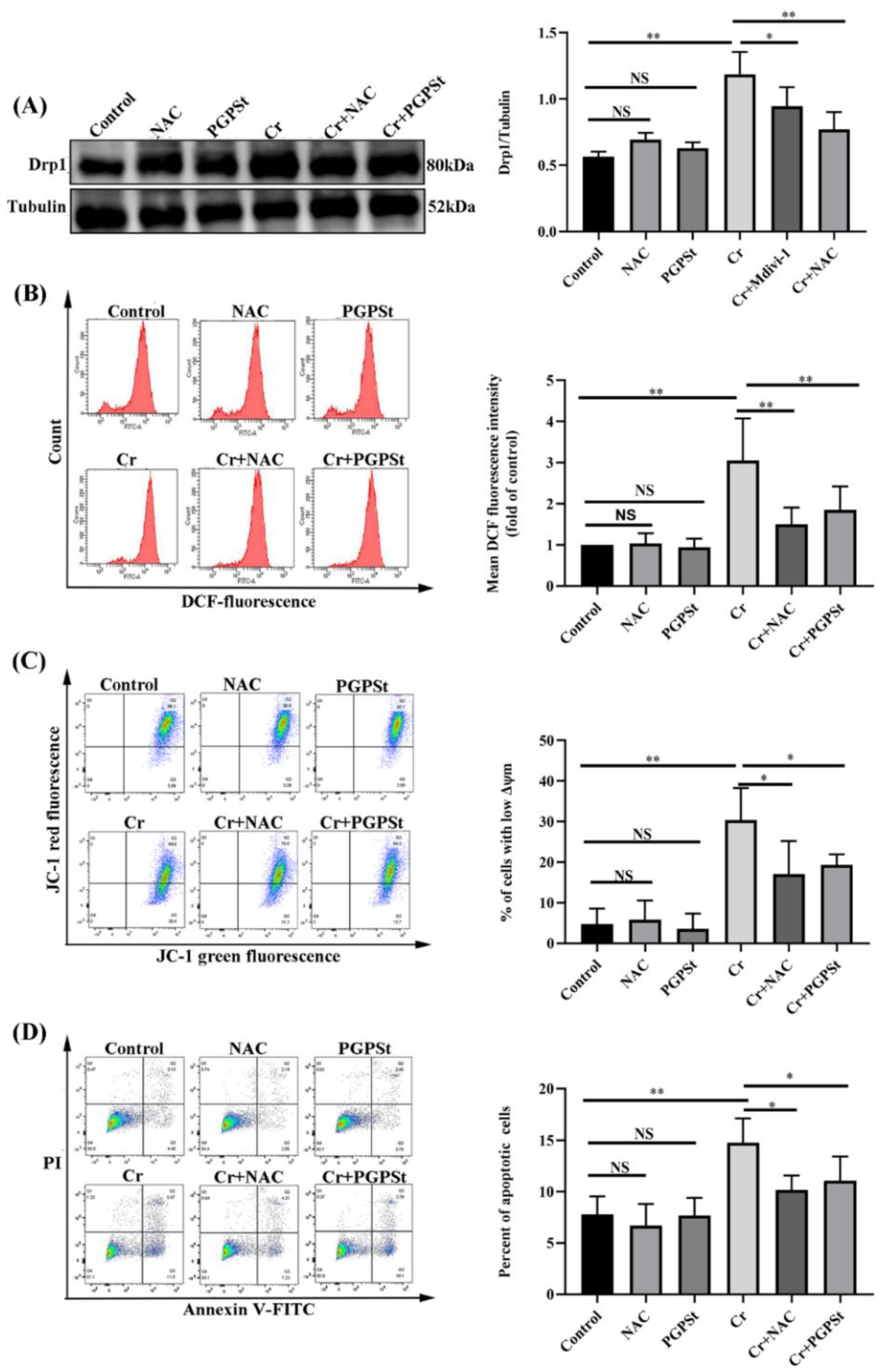 Life 12 02144 g003 Life 12 02144 g003