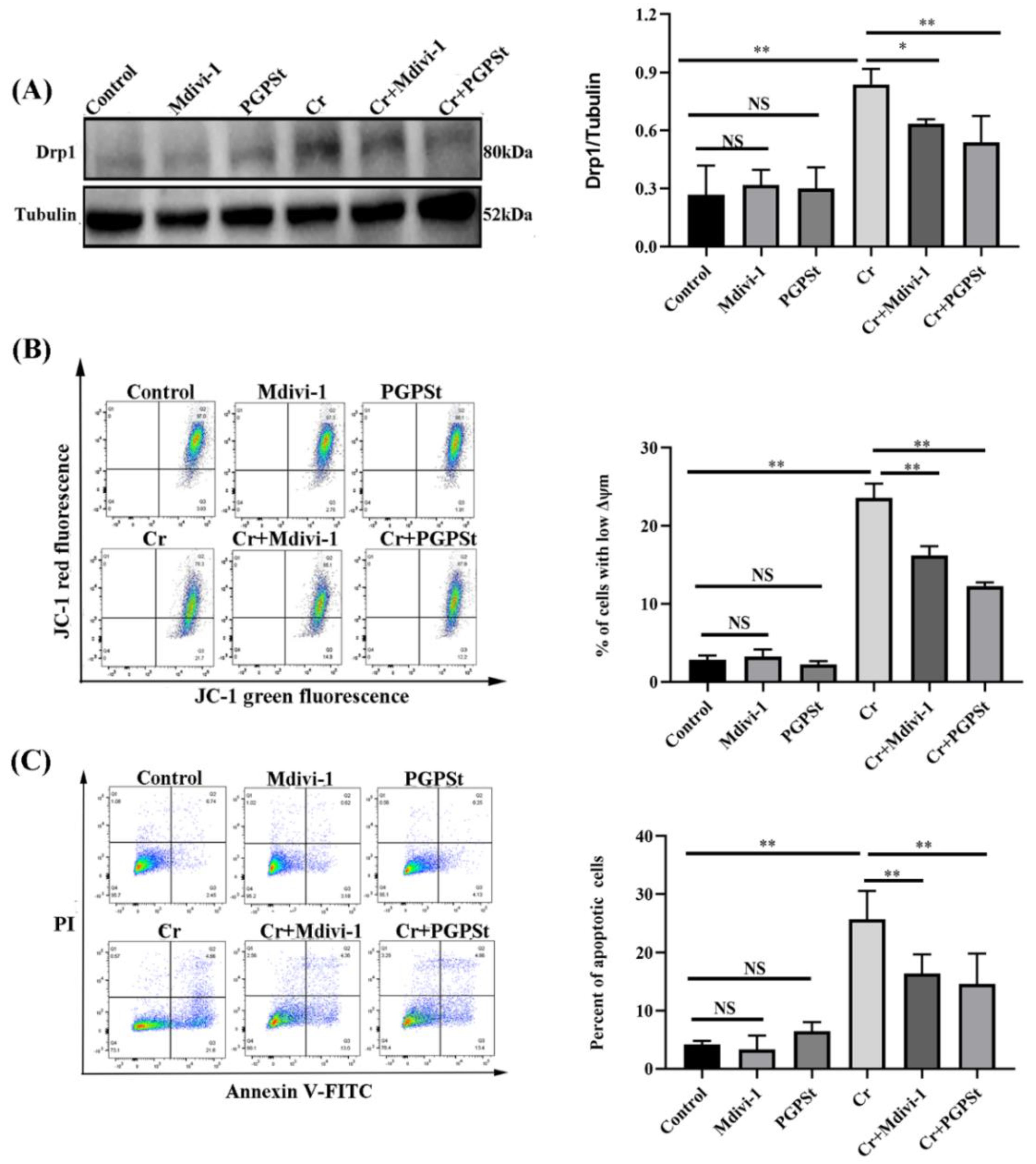 Life 12 02144 g004 Life 12 02144 g004