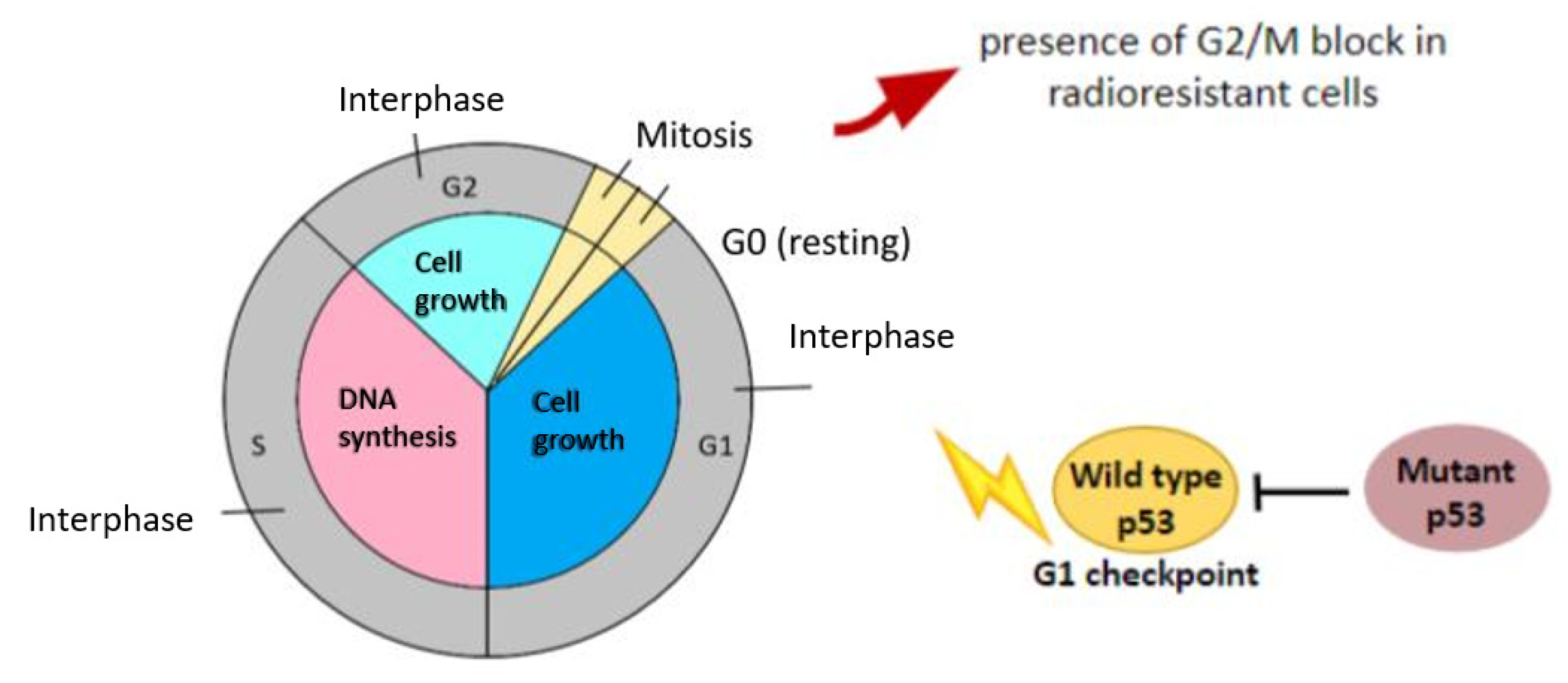 Ovarian Cancer Radiosensitivity: What Have We ... Biology Diagrams