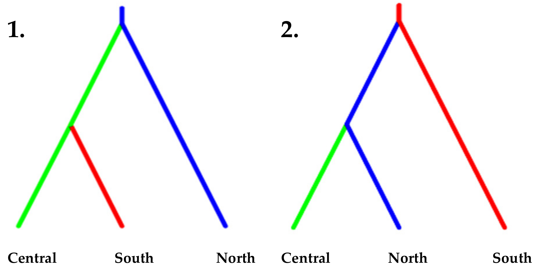 Life 13 00018 g005 Life 13 00018 g005