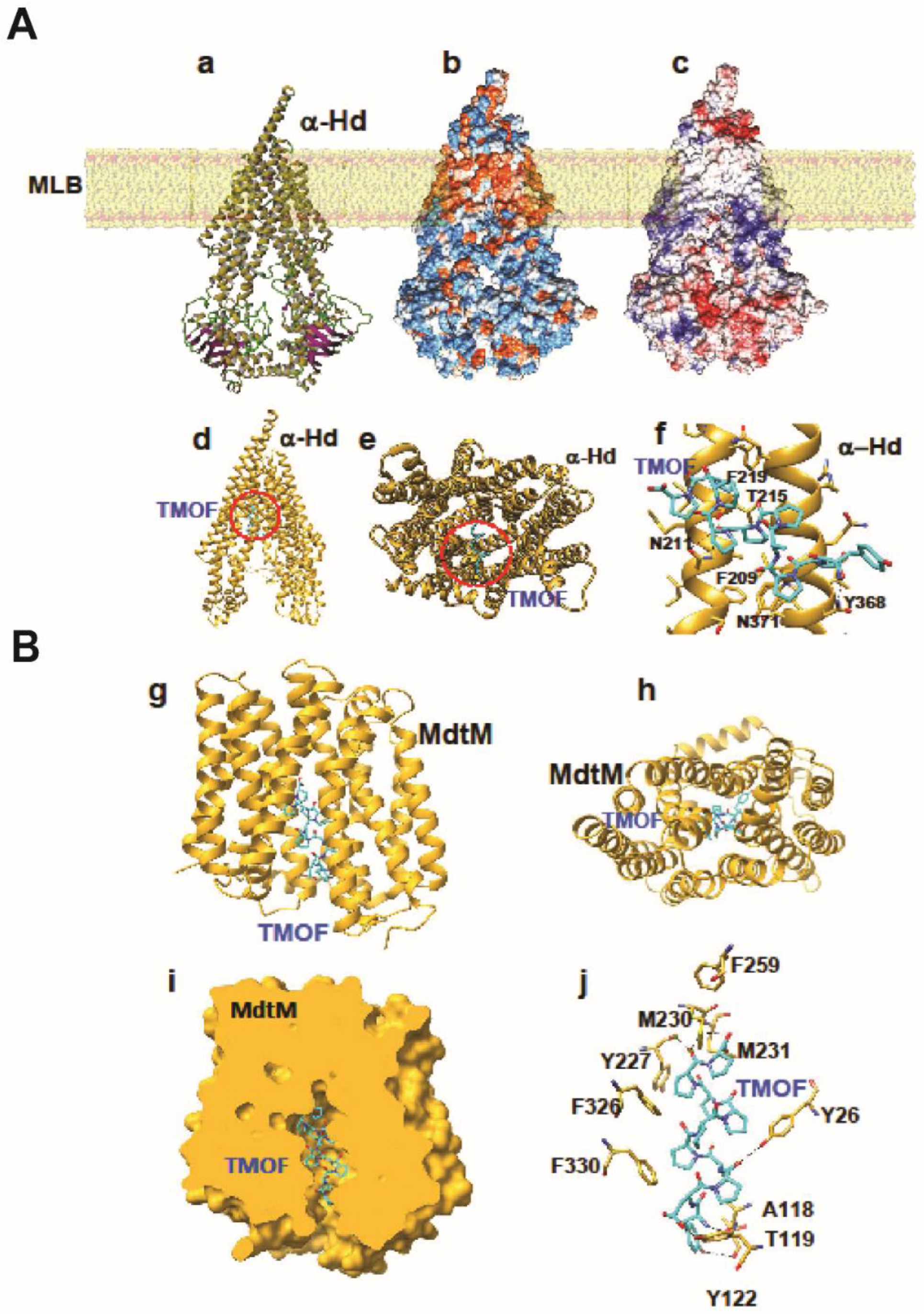 Life 13 00019 g007 Life 13 00019 g007