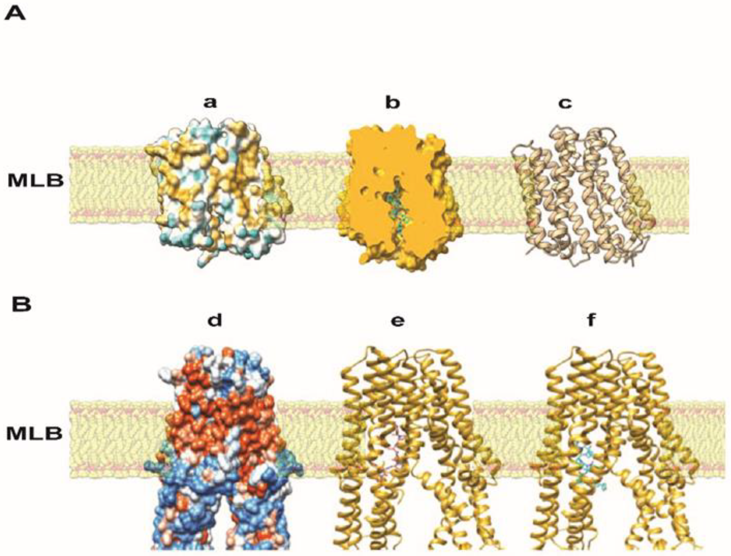 Life 13 00019 g008 Life 13 00019 g008