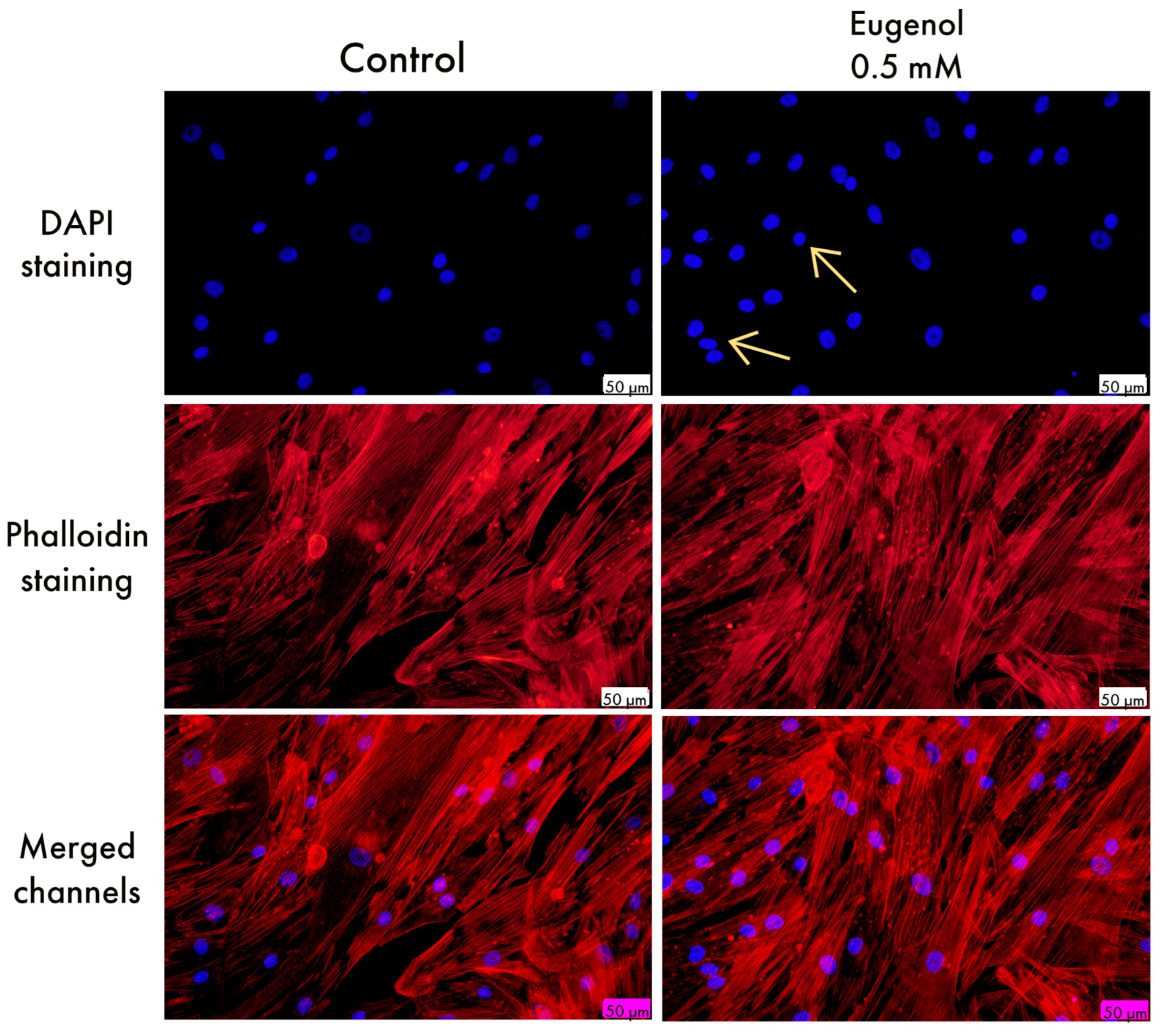 Life 13 00022 g002 Life 13 00022 g002