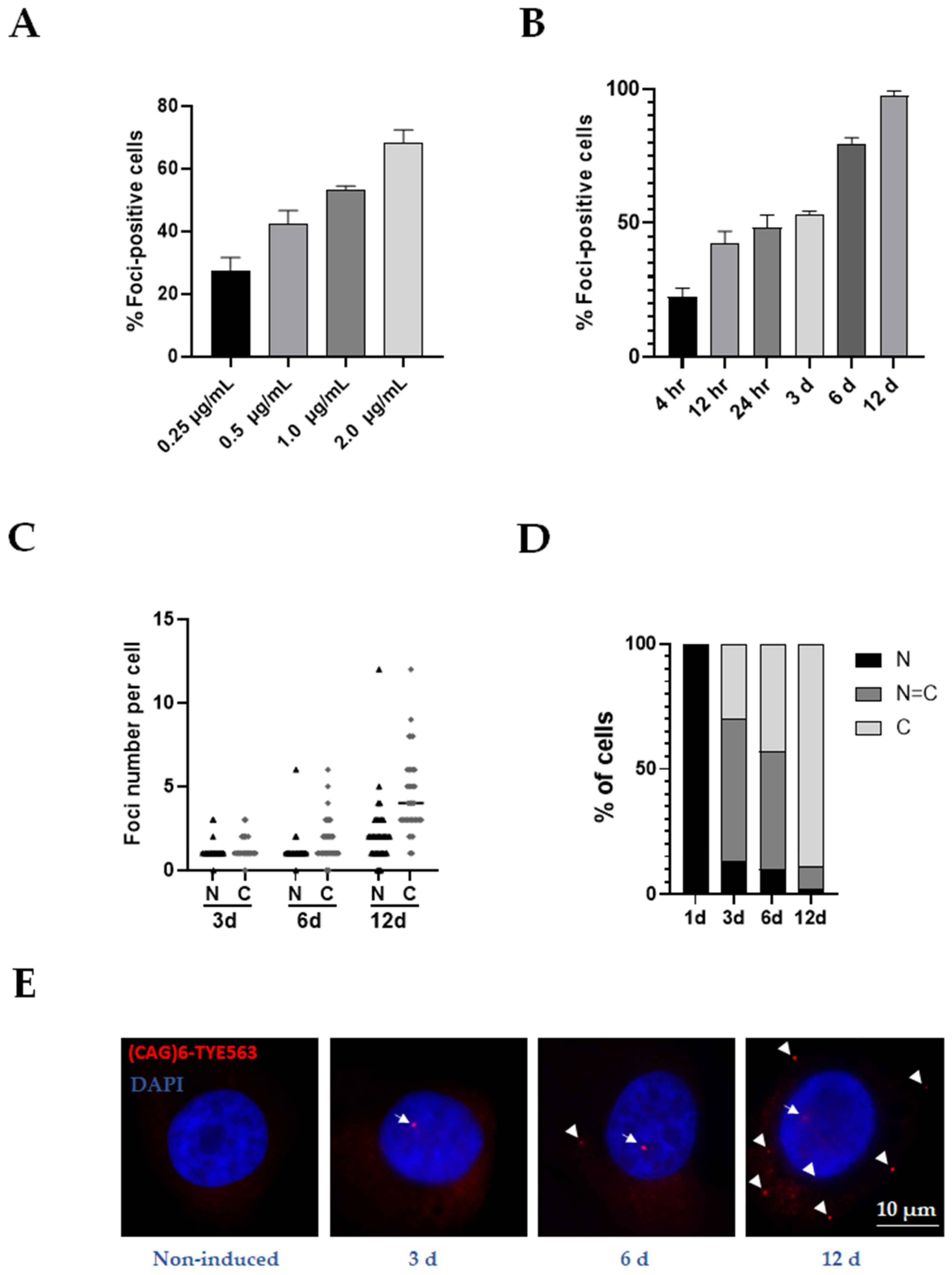 Life 13 00023 g003 Life 13 00023 g003