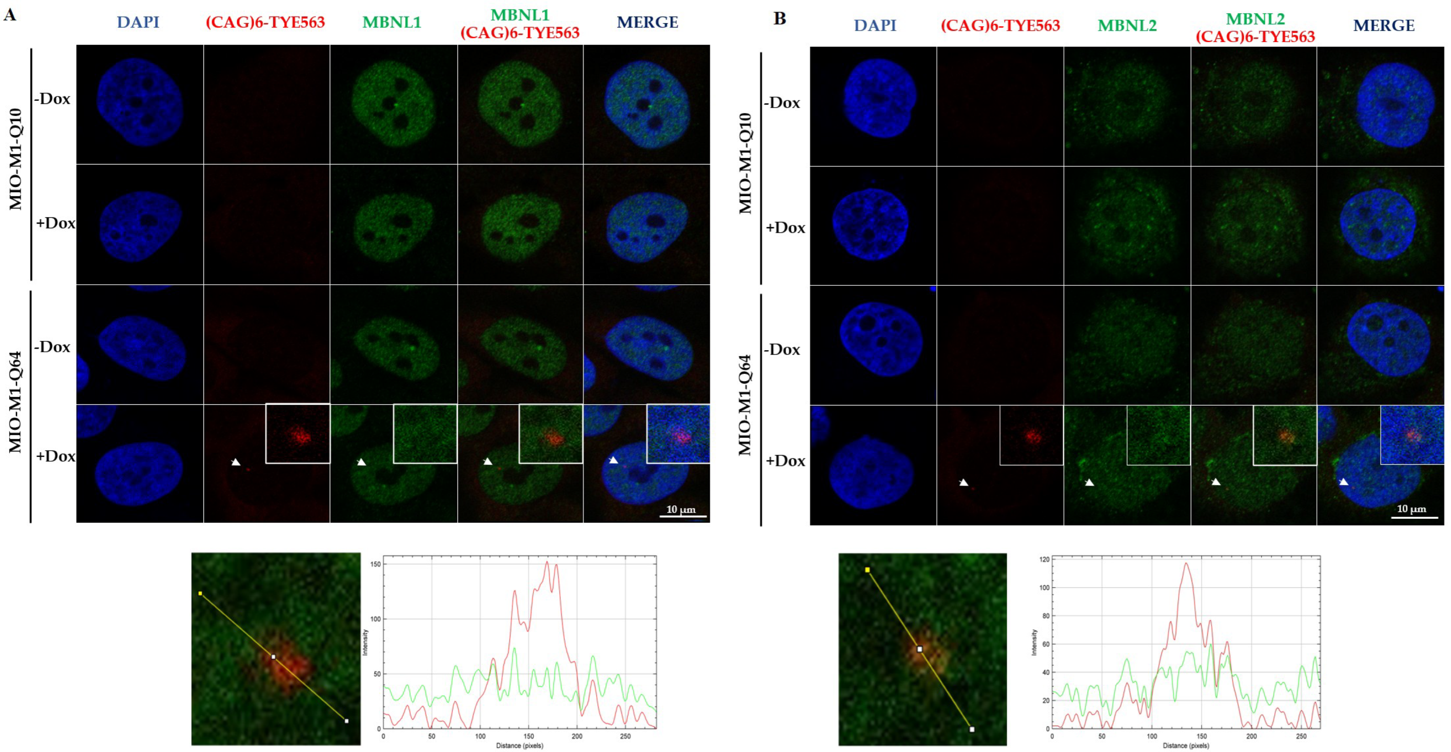 Life 13 00023 g004 Life 13 00023 g004