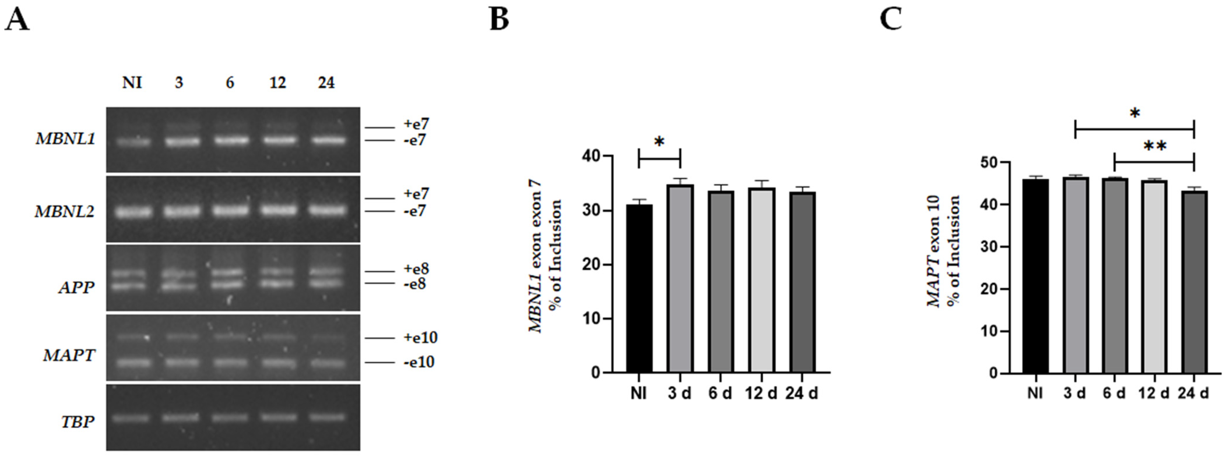 Life 13 00023 g005 Life 13 00023 g005
