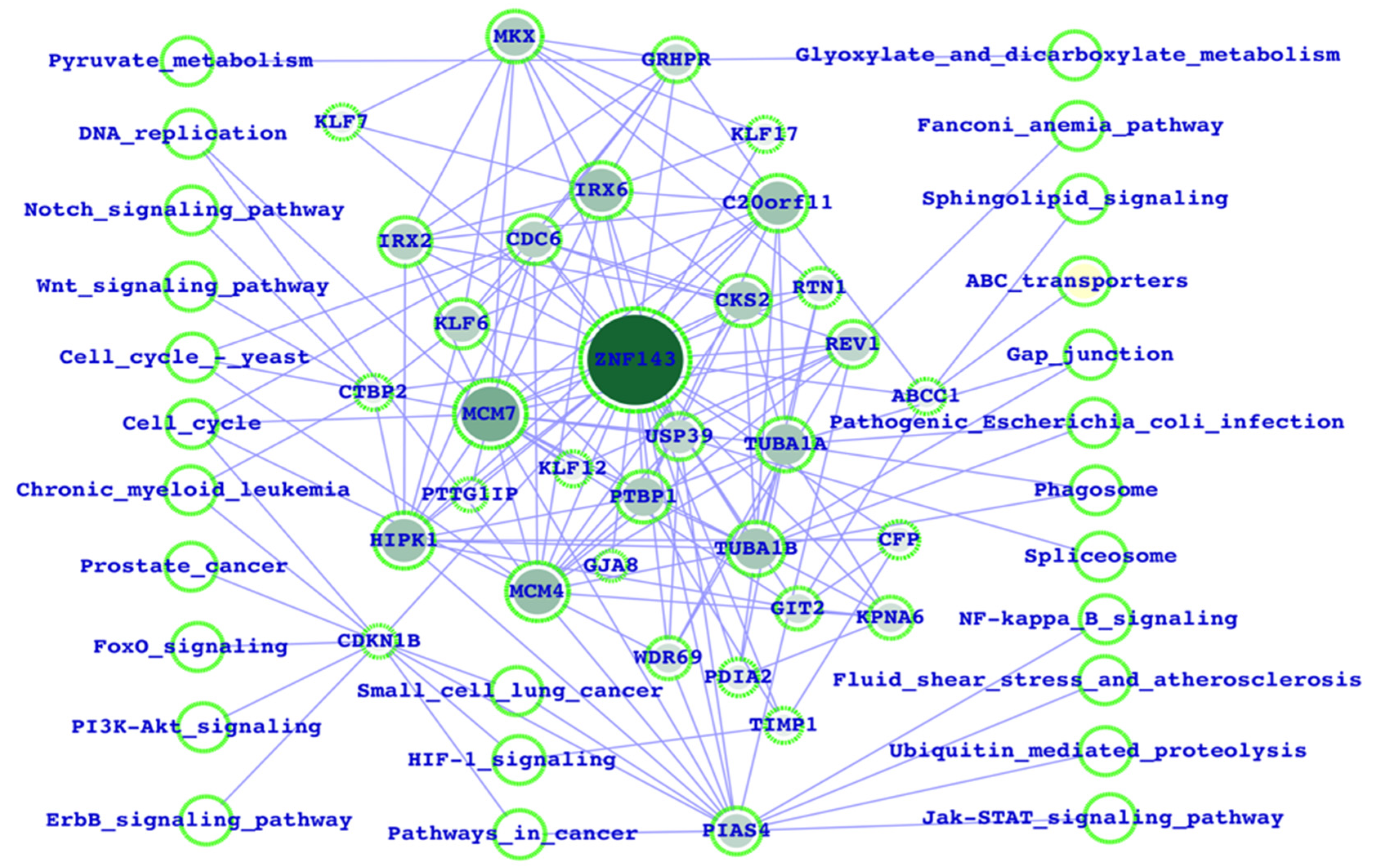 Life 13 00027 g001 Life 13 00027 g001