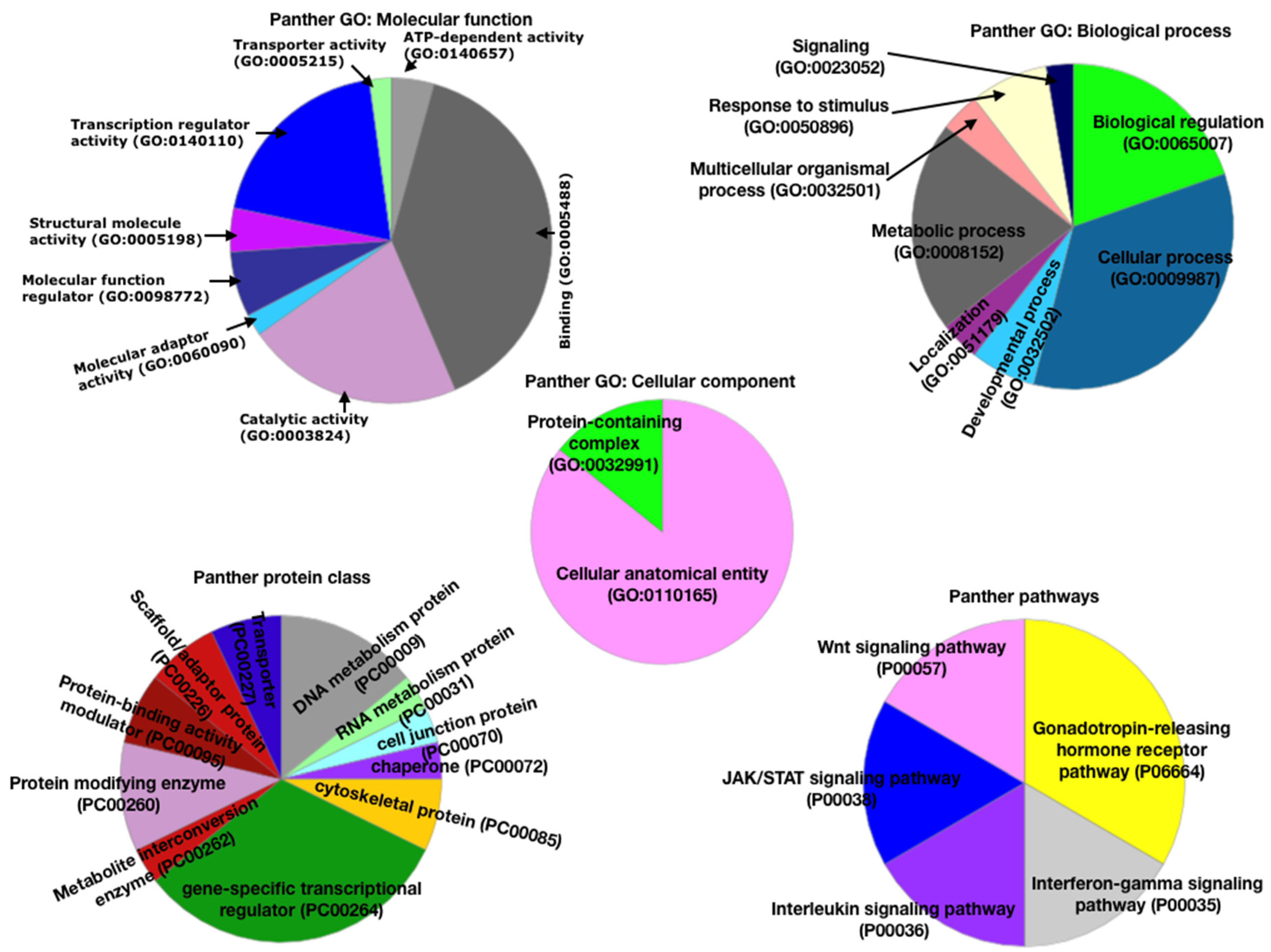 Life 13 00027 g002 Life 13 00027 g002