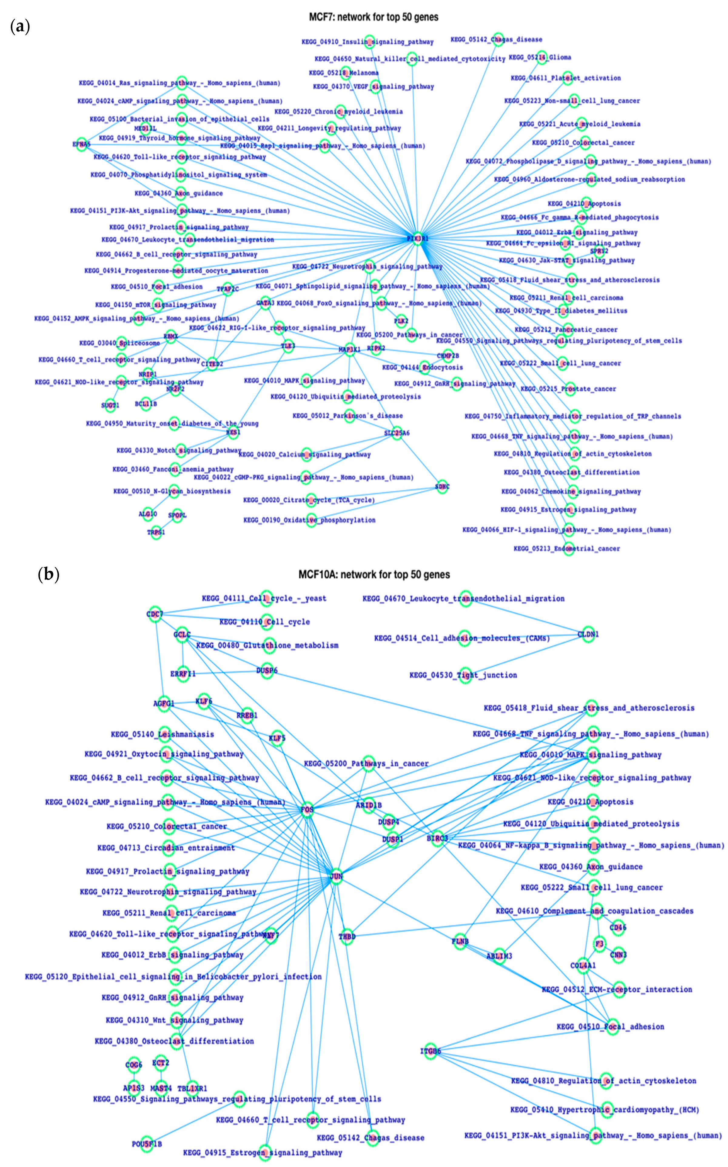 Life 13 00027 g006 Life 13 00027 g006