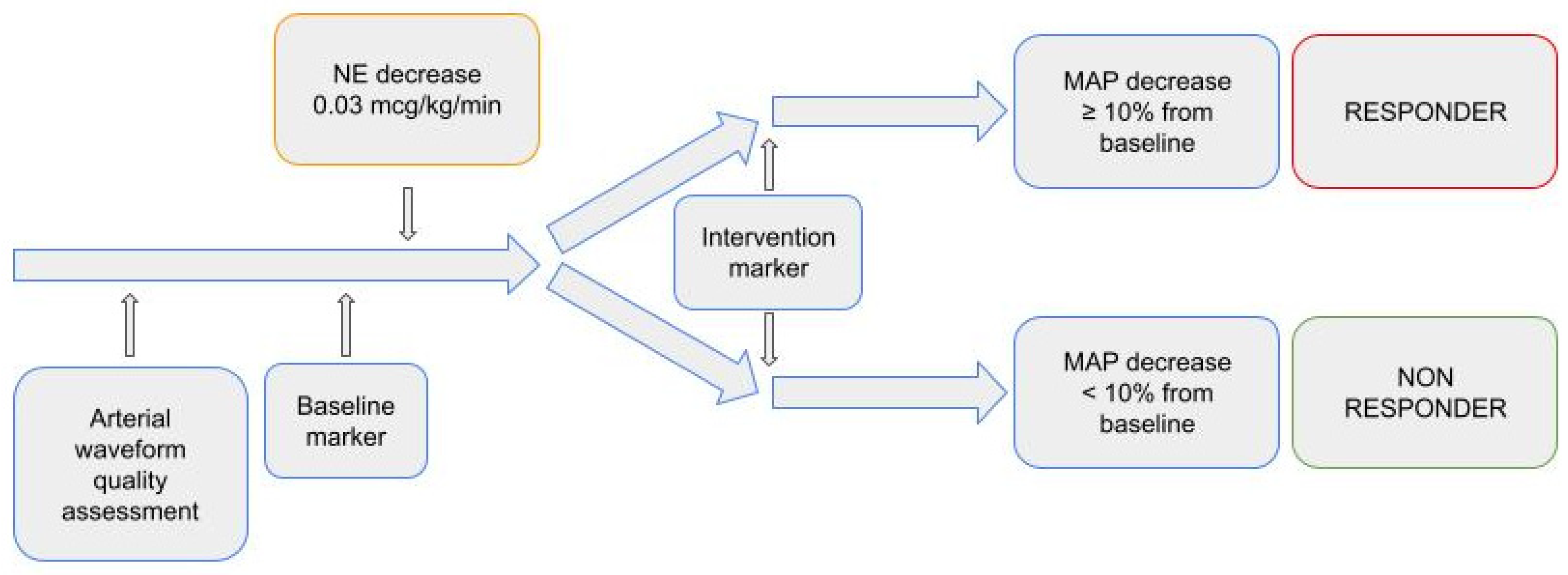 Life 13 00028 g001 Life 13 00028 g001