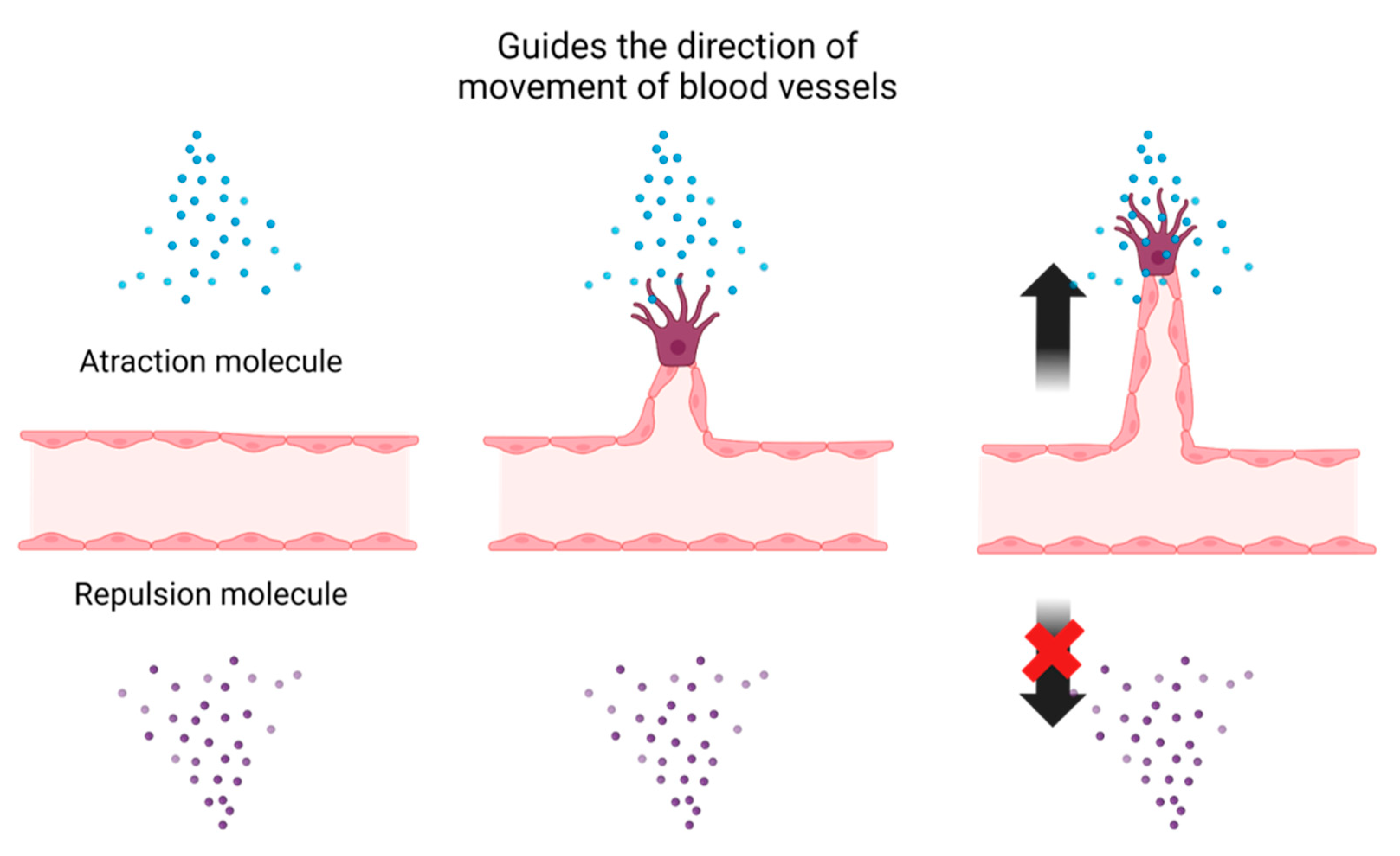 Life 13 00042 g001 Life 13 00042 g001