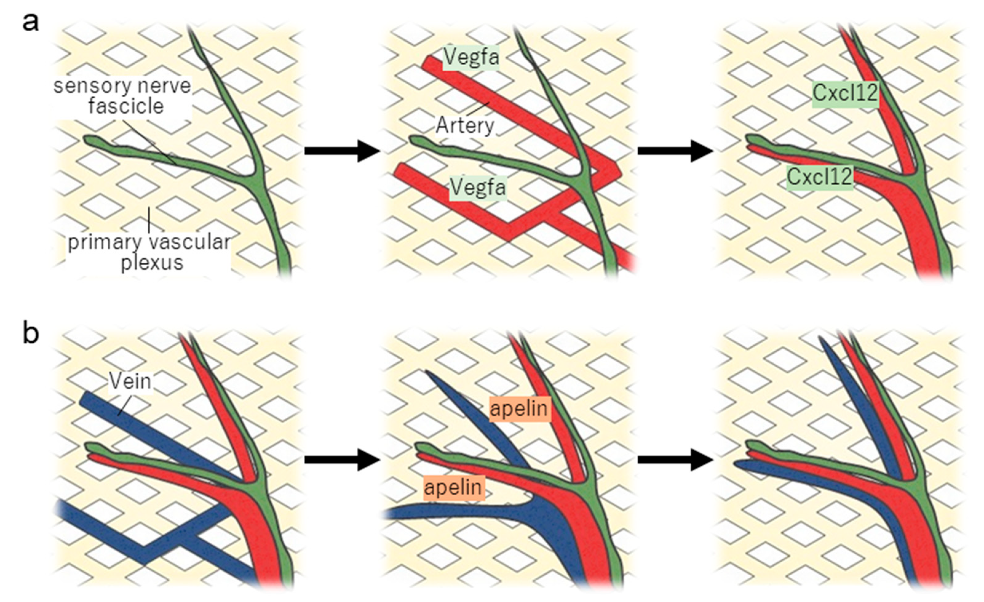 Life 13 00042 g002 Life 13 00042 g002