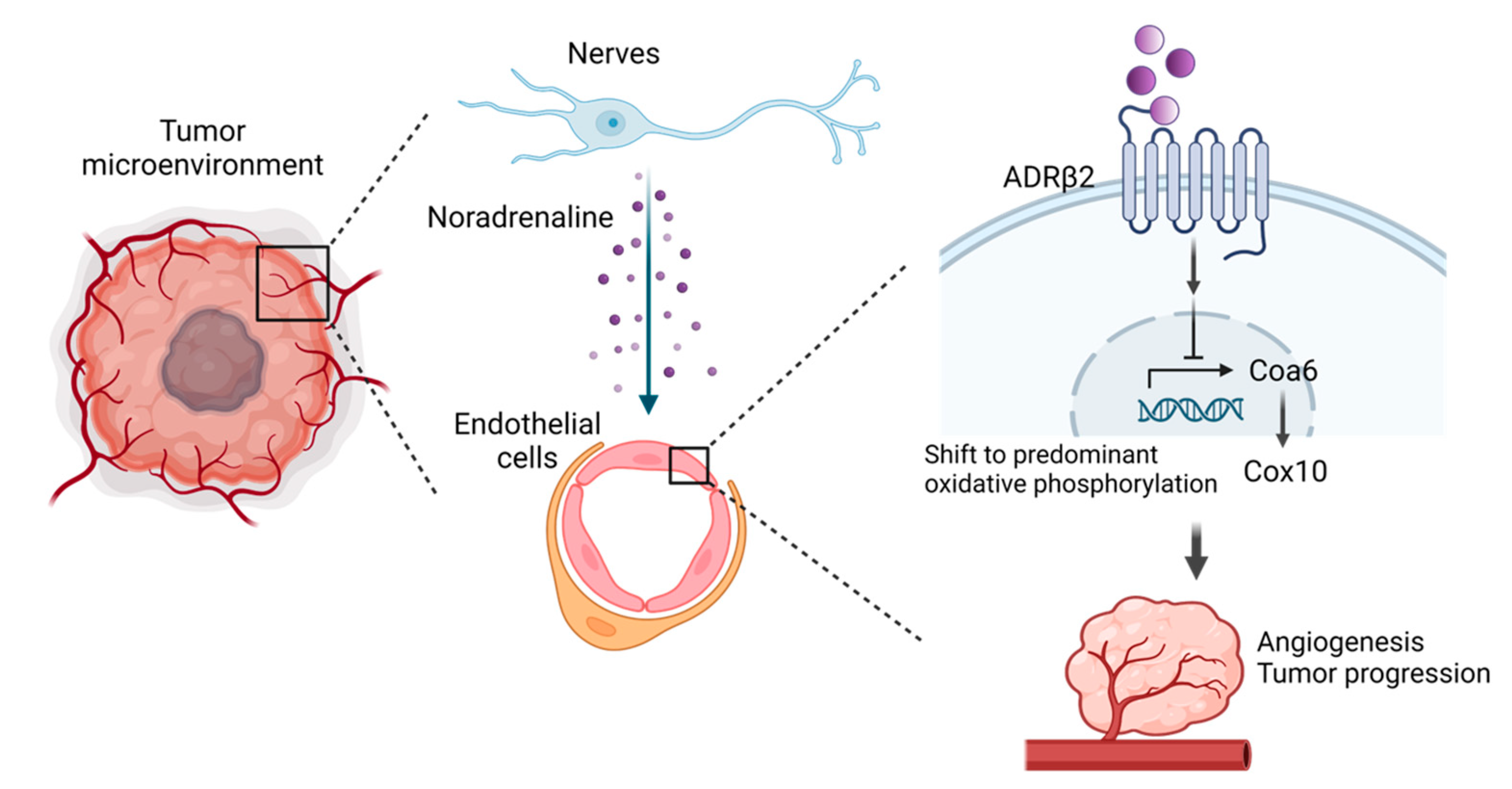Life 13 00042 g003 Life 13 00042 g003