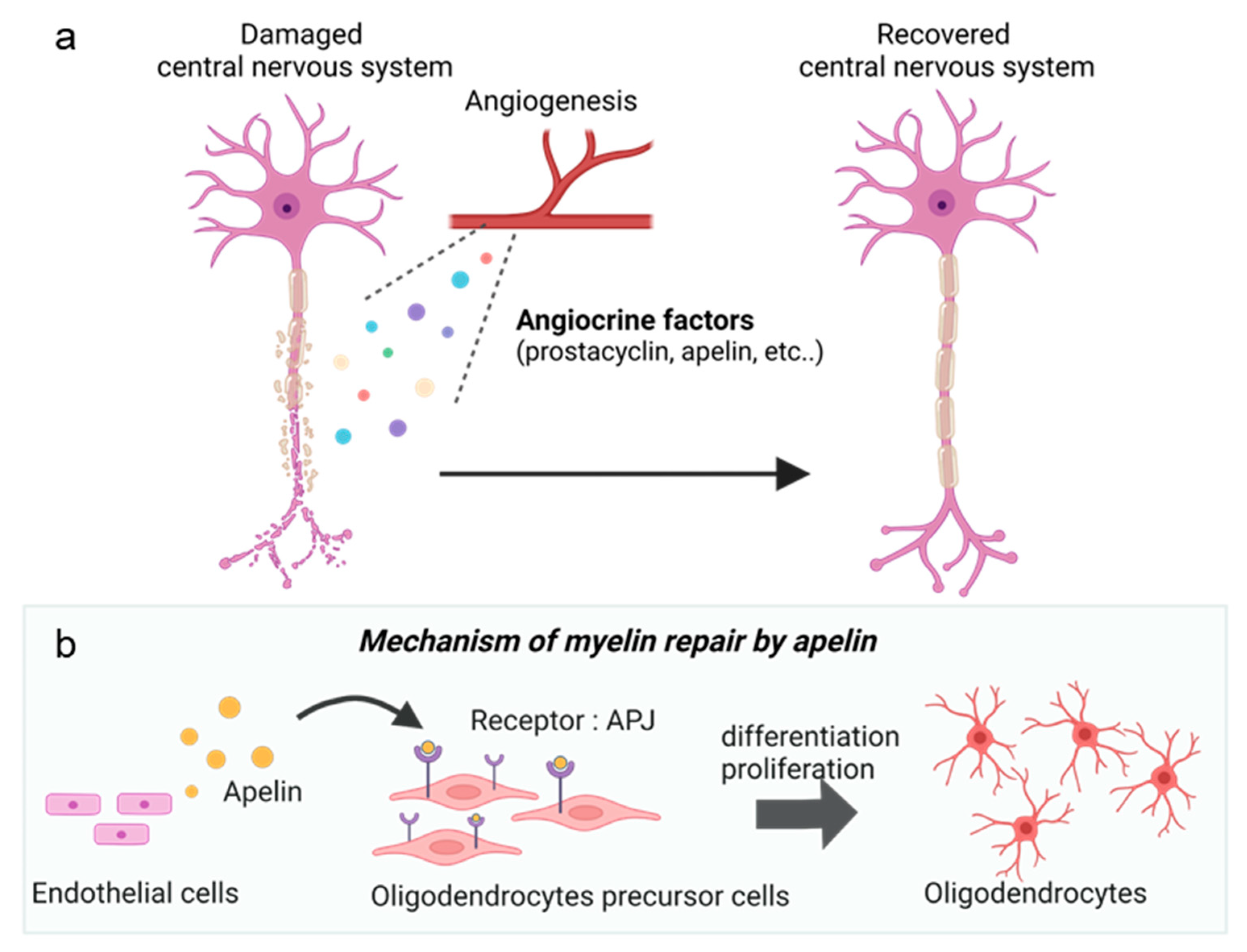 Life 13 00042 g004 Life 13 00042 g004