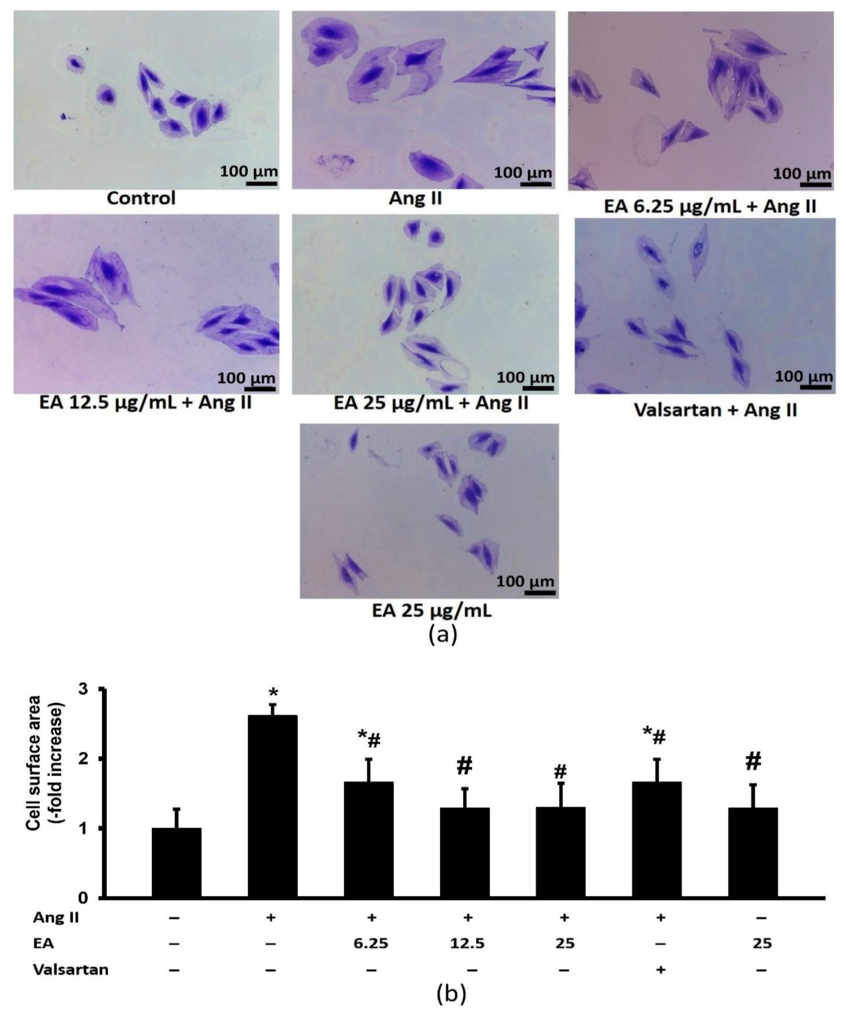 Life 13 00043 g004 Life 13 00043 g004