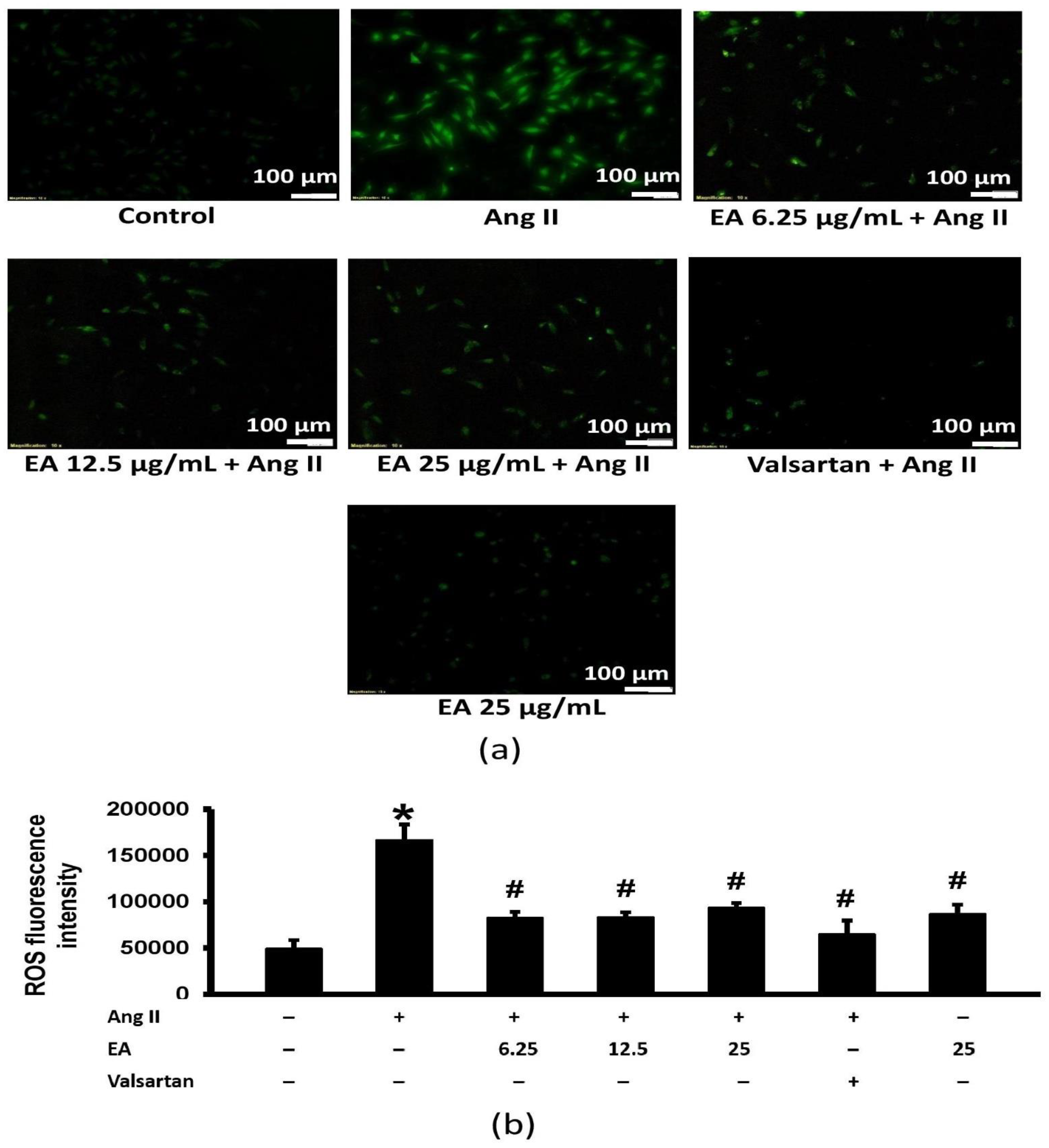 Life 13 00043 g006 Life 13 00043 g006