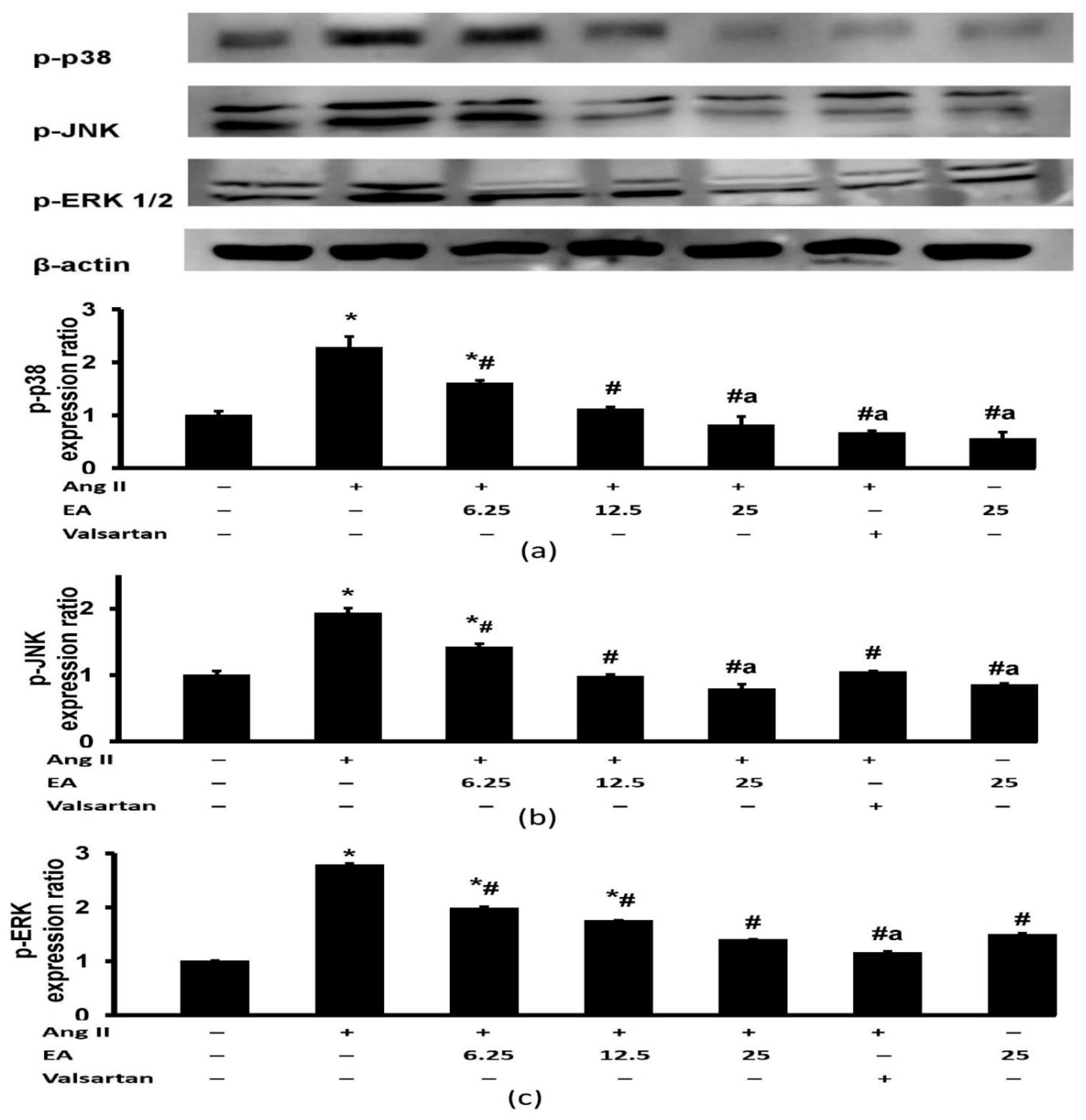 Life 13 00043 g008 Life 13 00043 g008