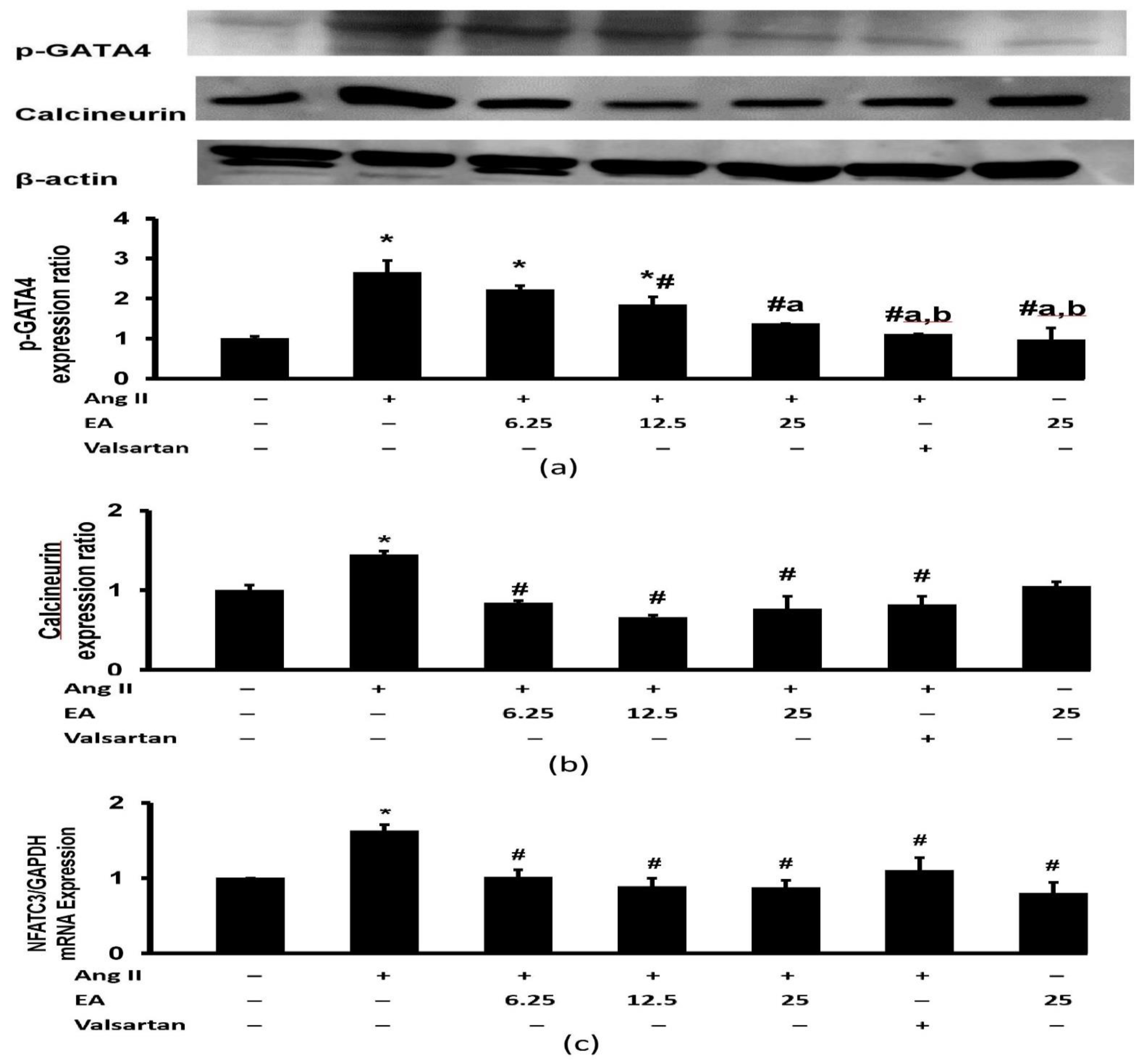 Life 13 00043 g009 Life 13 00043 g009