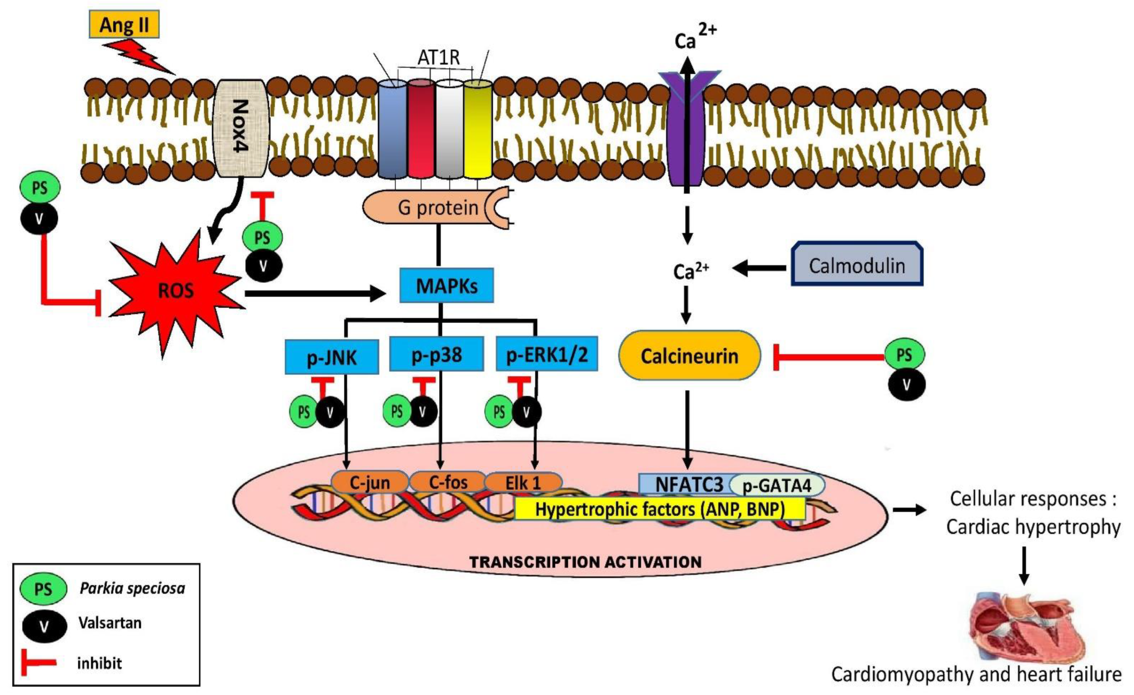 Life 13 00043 g010 Life 13 00043 g010