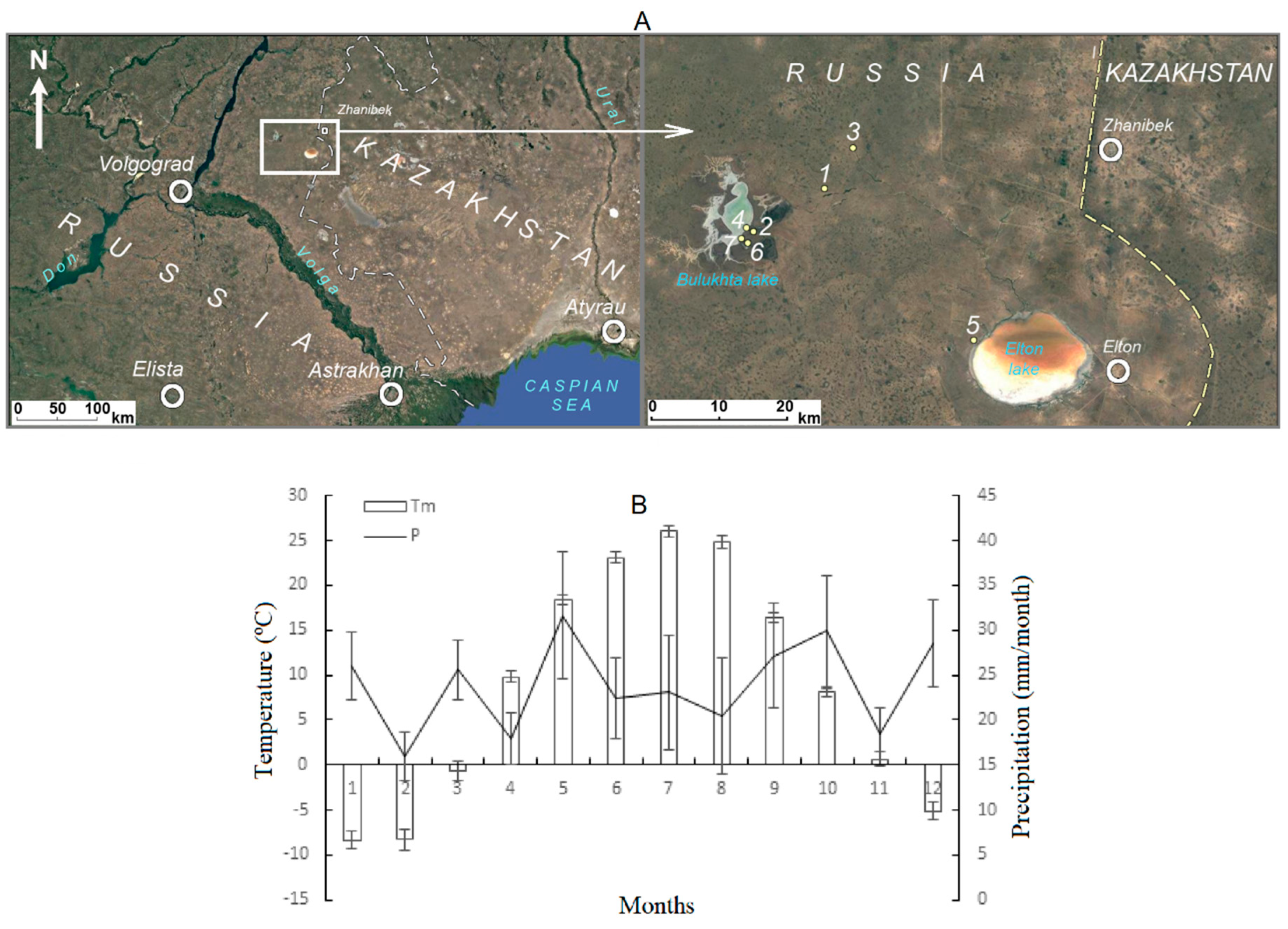 Life 13 00056 g001 Life 13 00056 g001