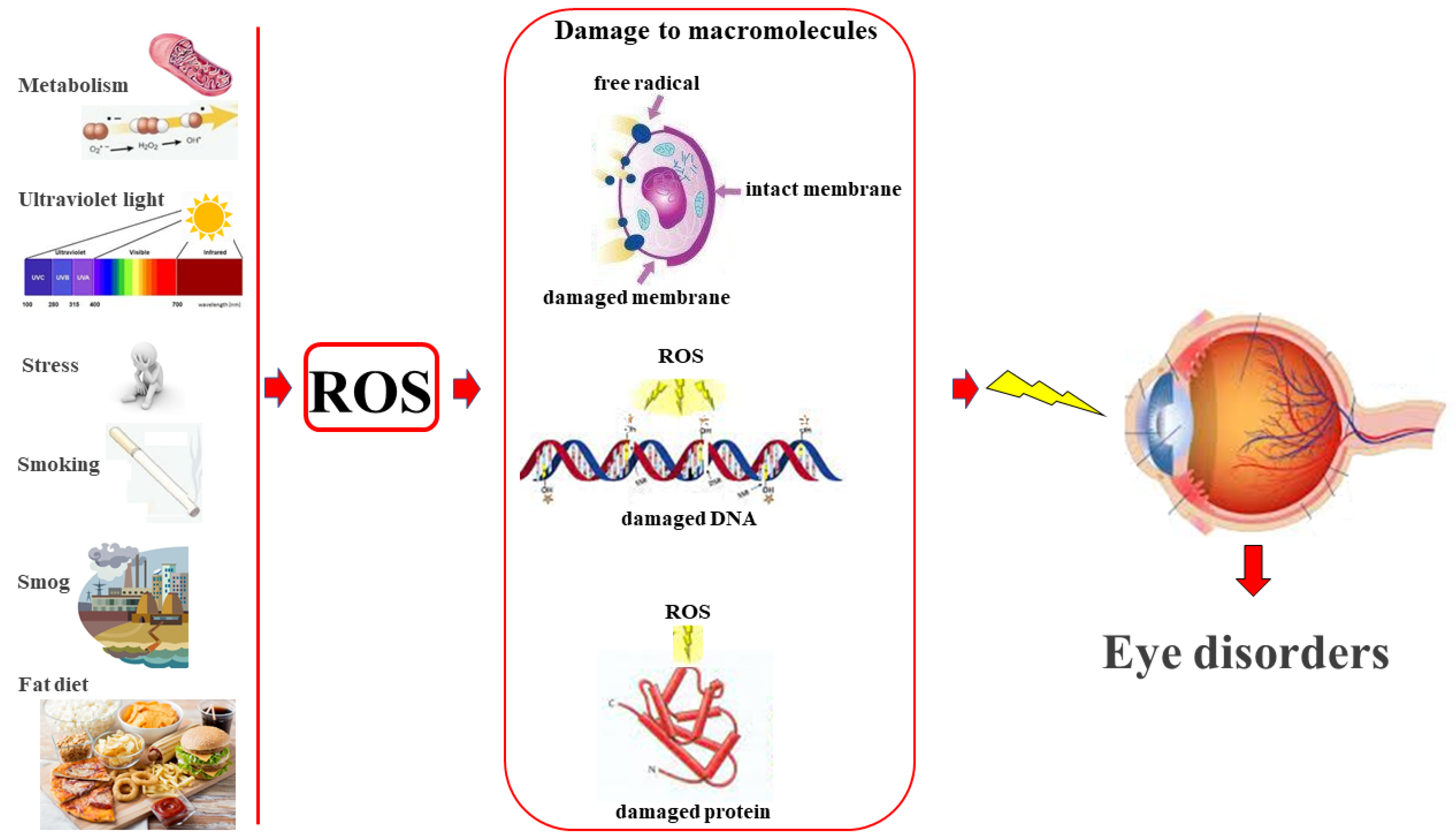 Life 13 00077 g002 Life 13 00077 g002
