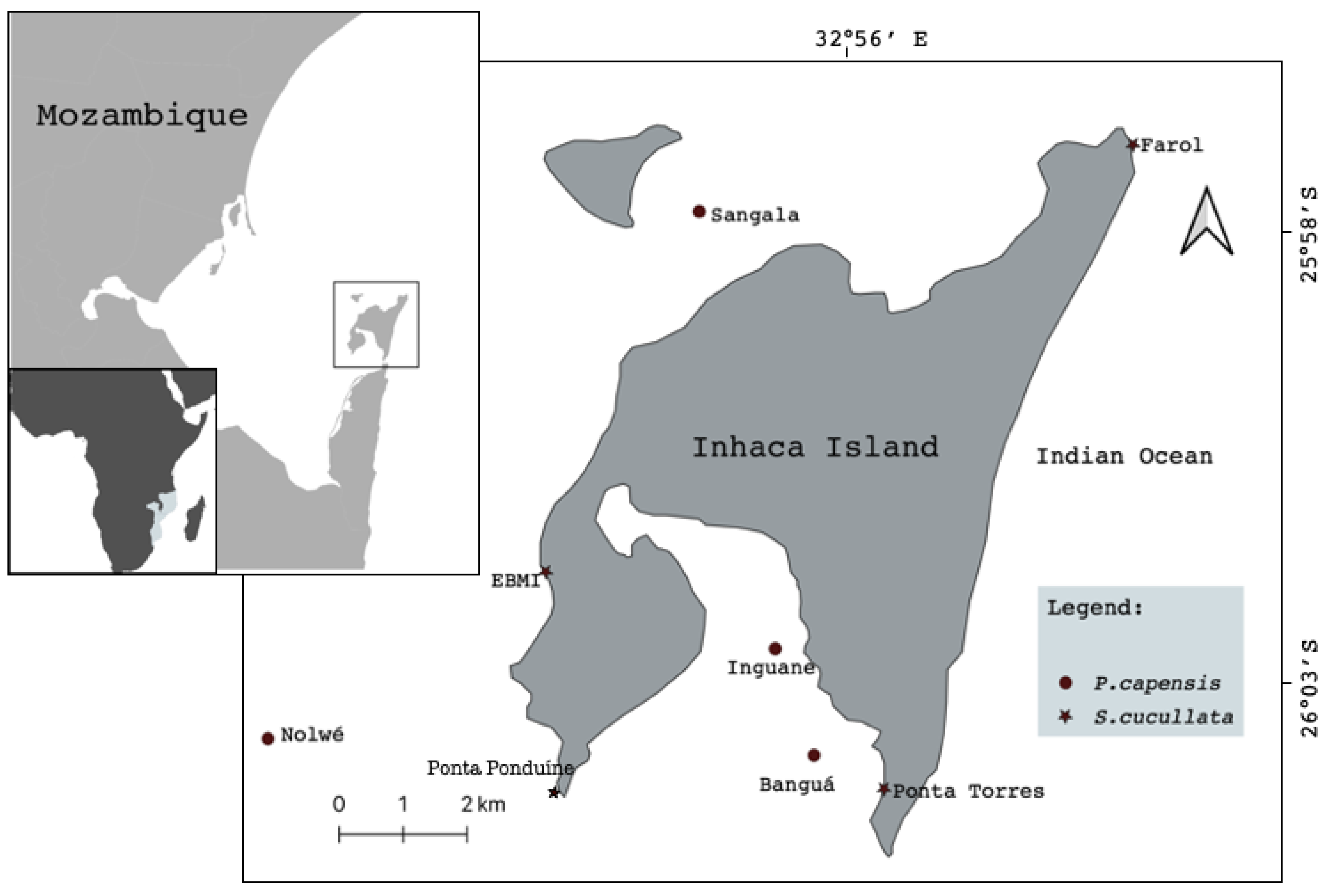 Life 13 00083 g001 Life 13 00083 g001