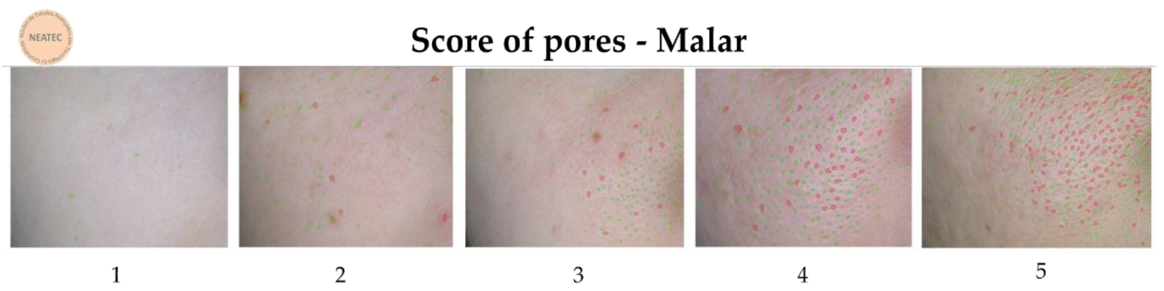 Life 13 00087 g002 Life 13 00087 g002