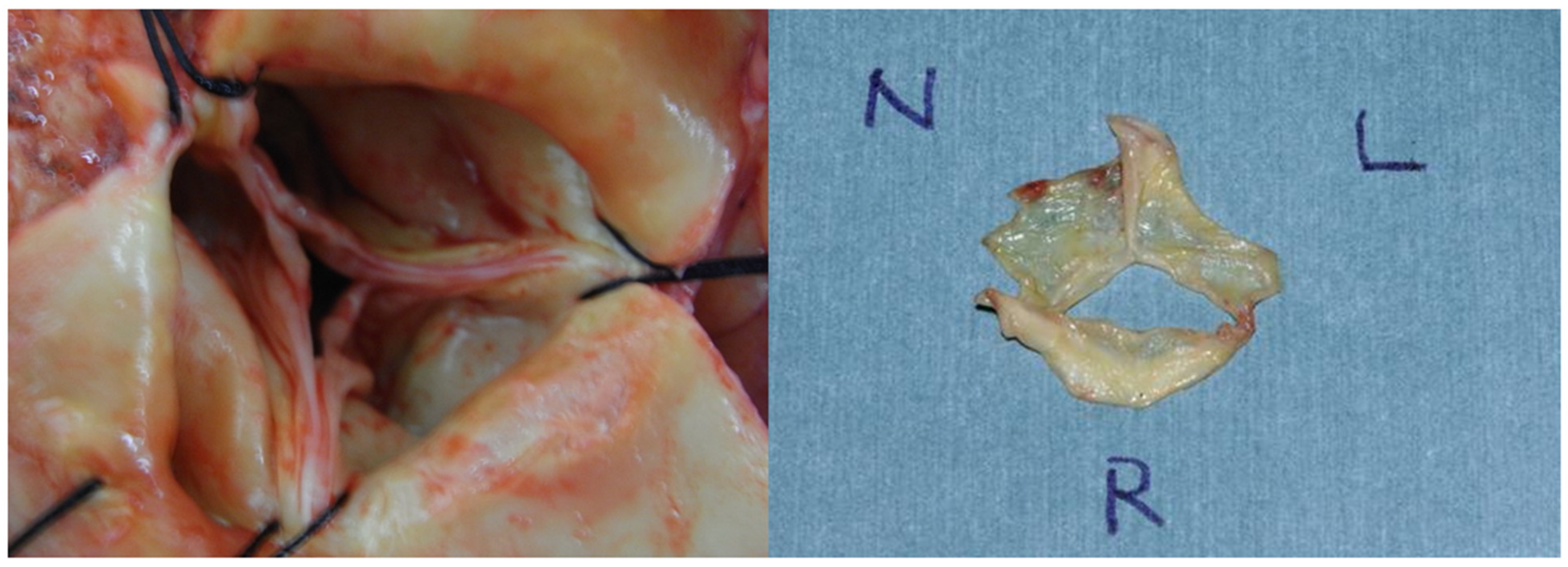 Life 13 00094 g004 Life 13 00094 g004