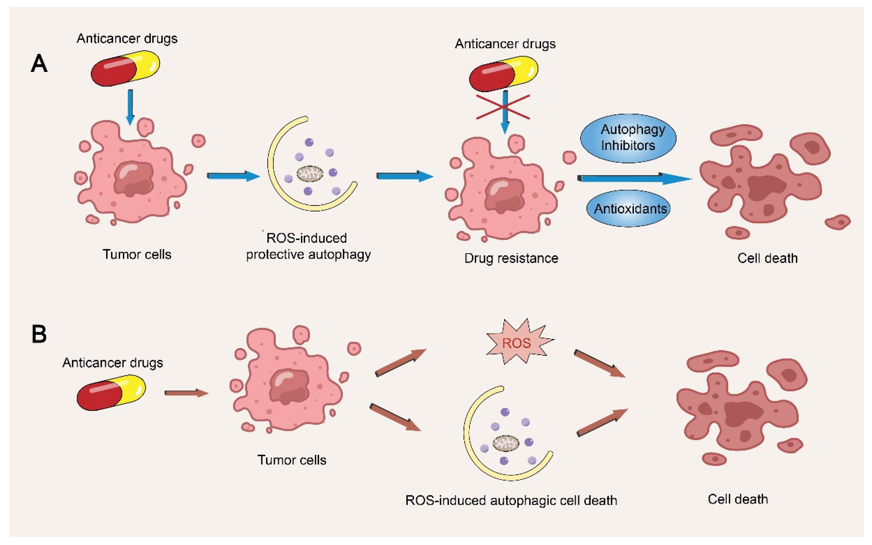 Life 13 00098 g004 Life 13 00098 g004
