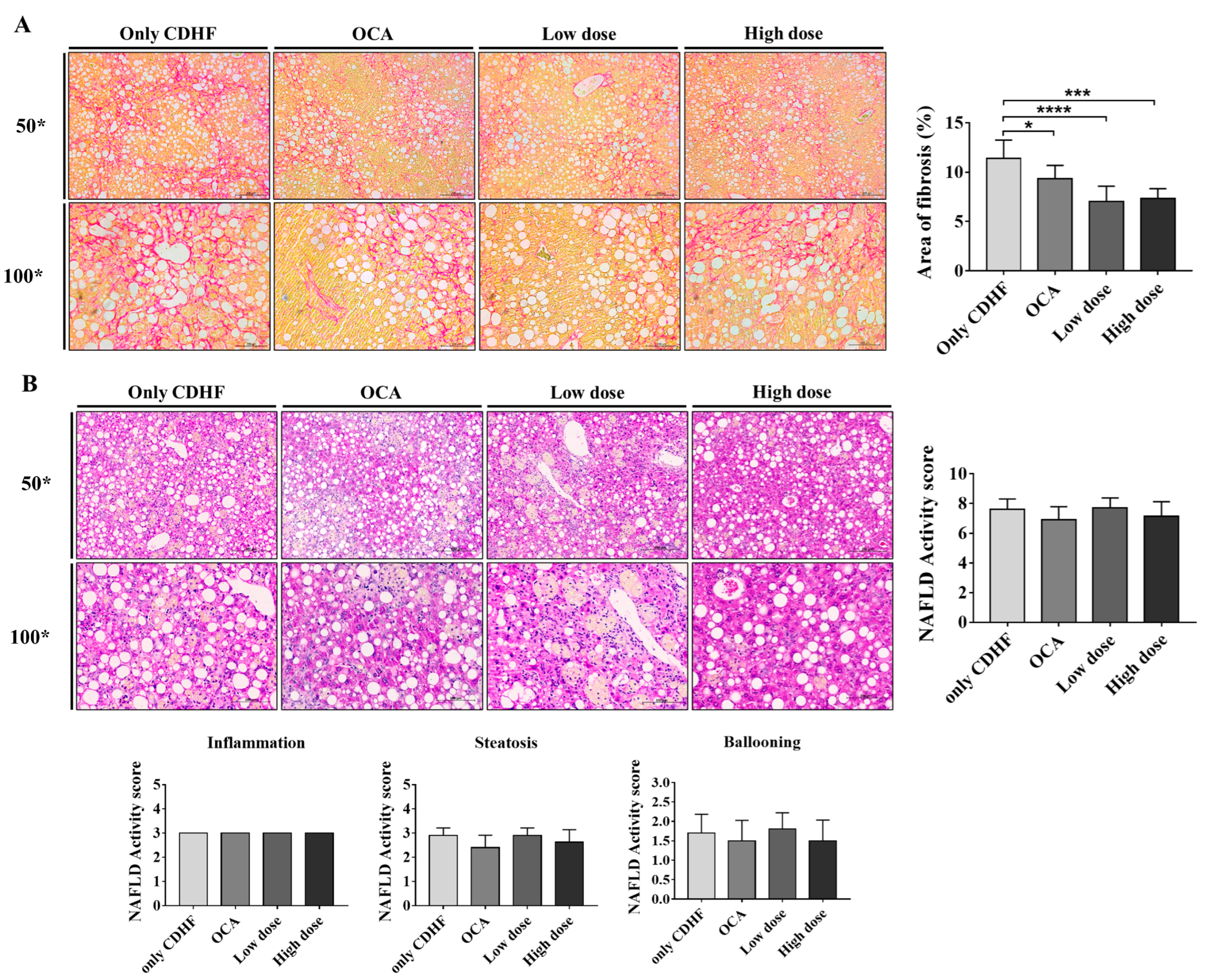 Life 13 00100 g002 Life 13 00100 g002