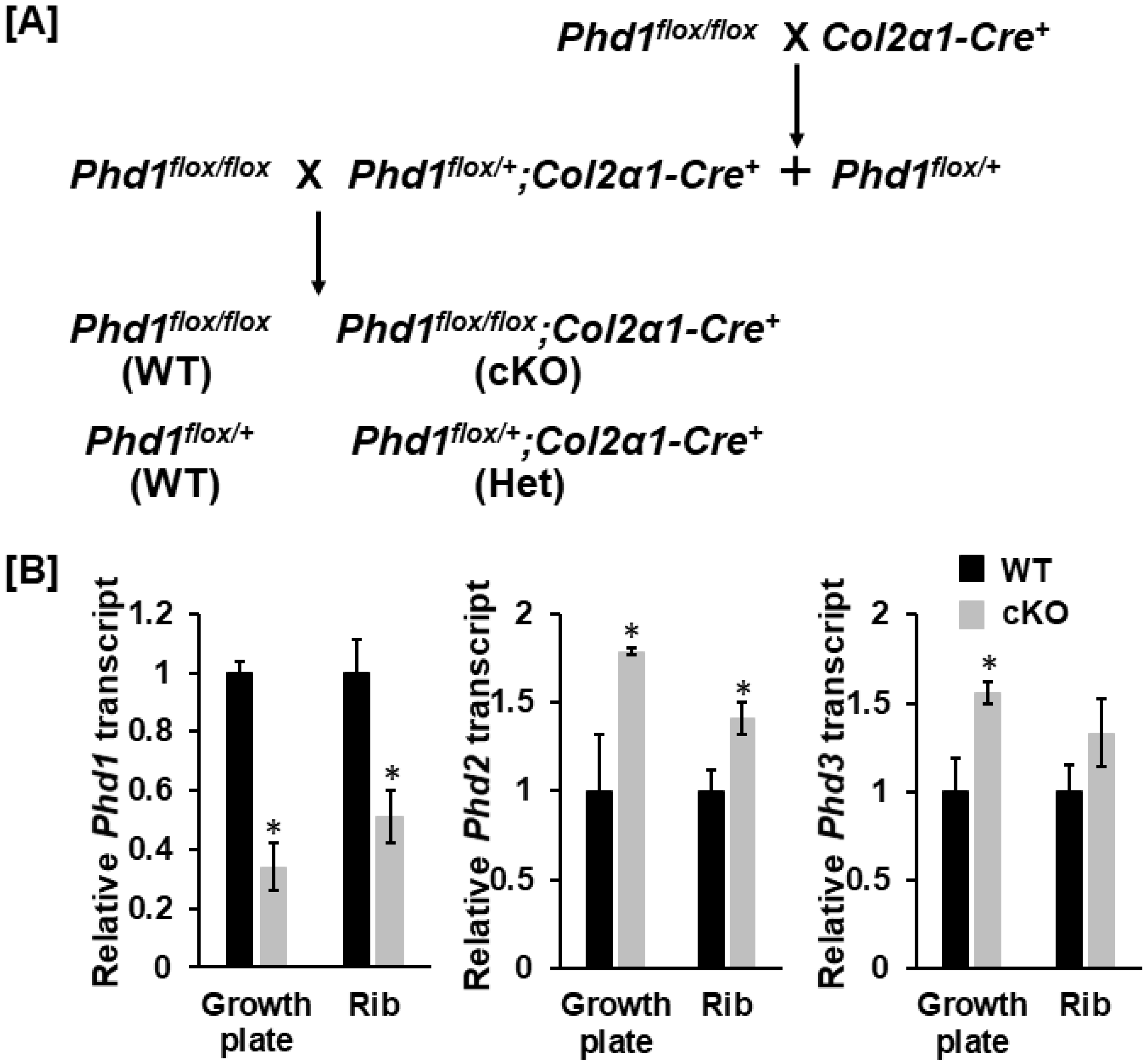 Life 13 00106 g001 Life 13 00106 g001