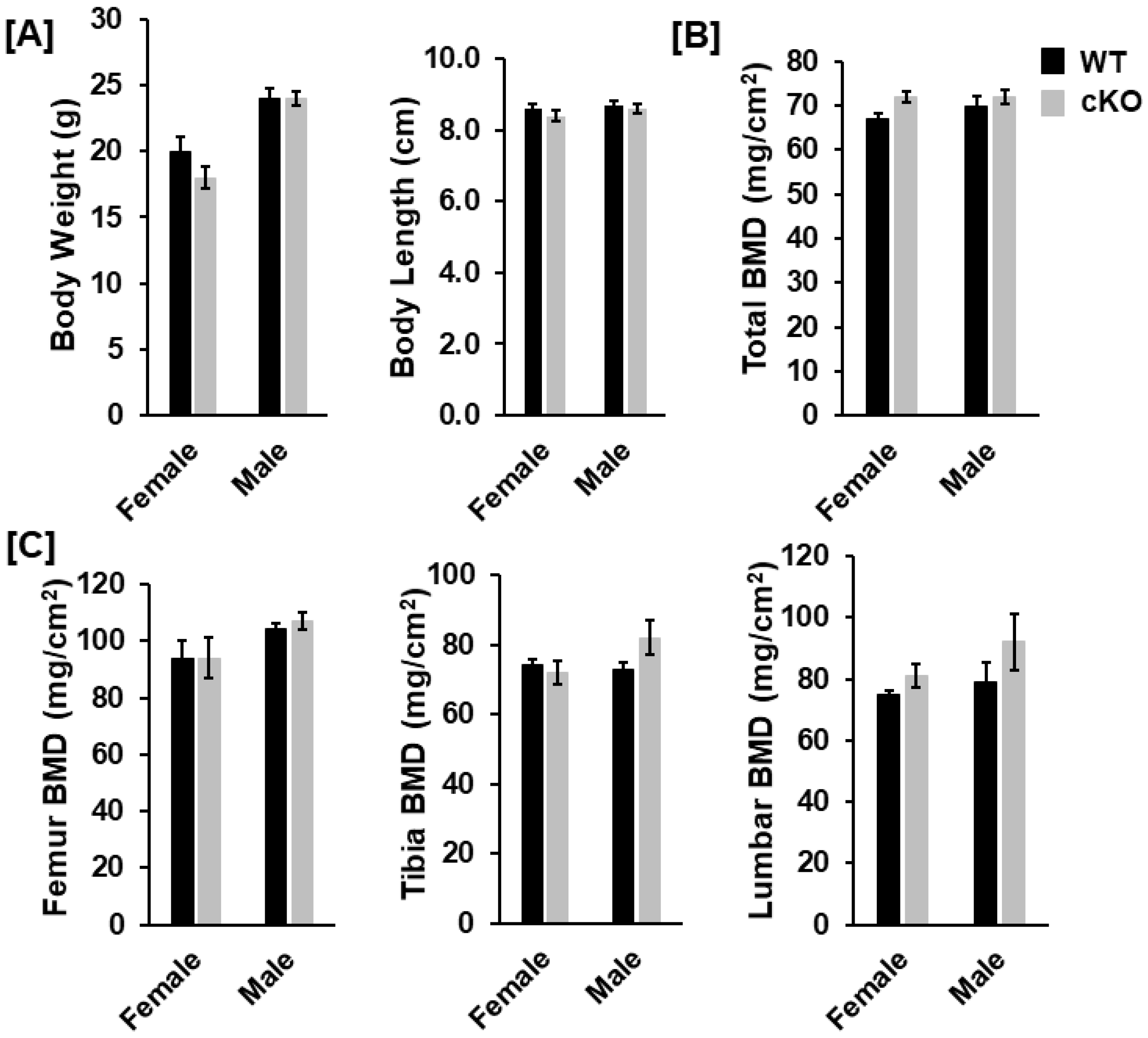 Life 13 00106 g002 Life 13 00106 g002