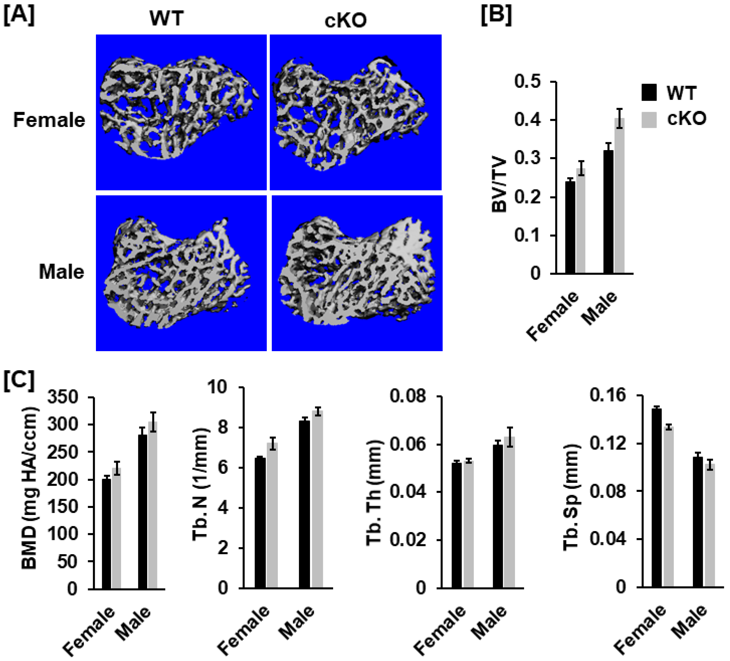 Life 13 00106 g004 Life 13 00106 g004