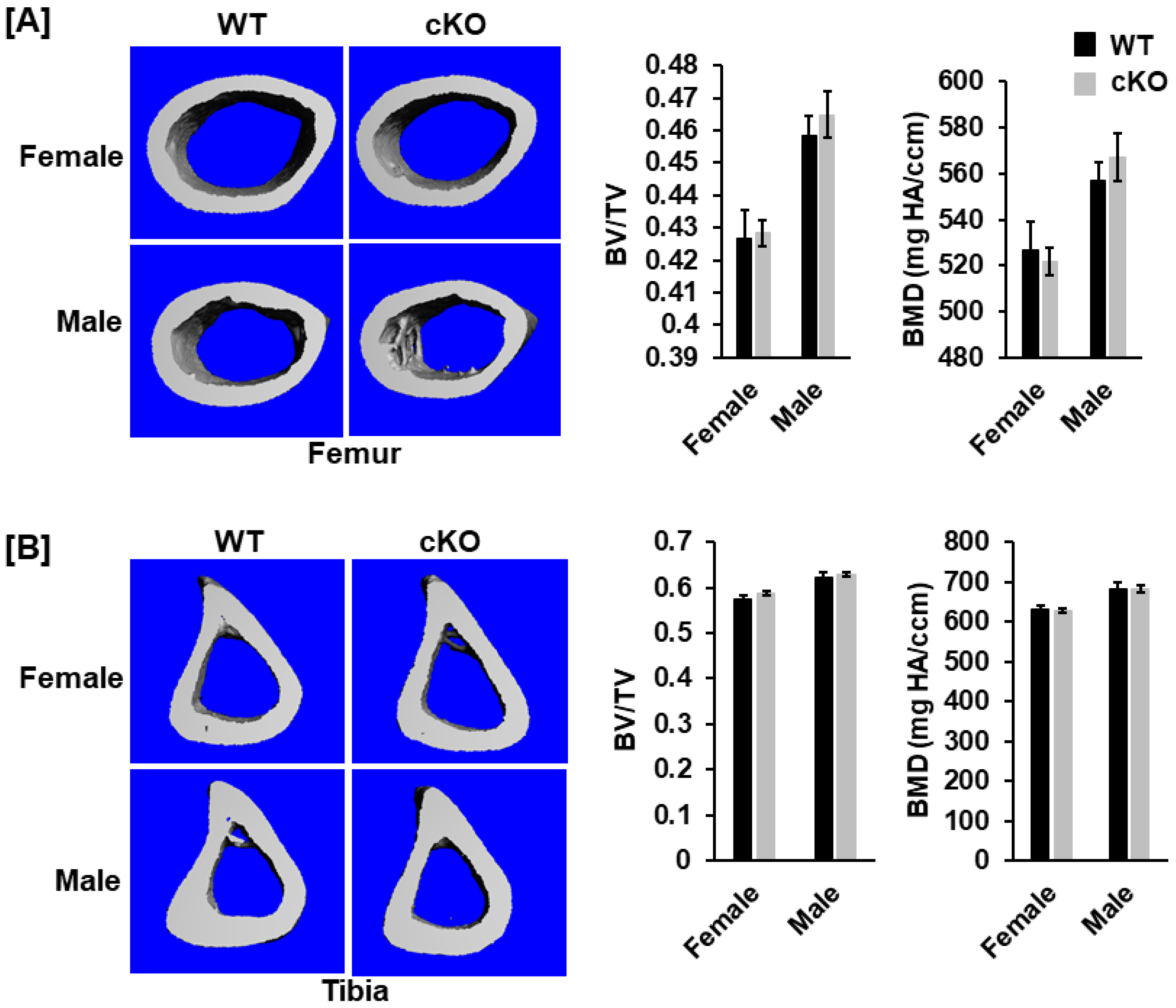 Life 13 00106 g005 Life 13 00106 g005