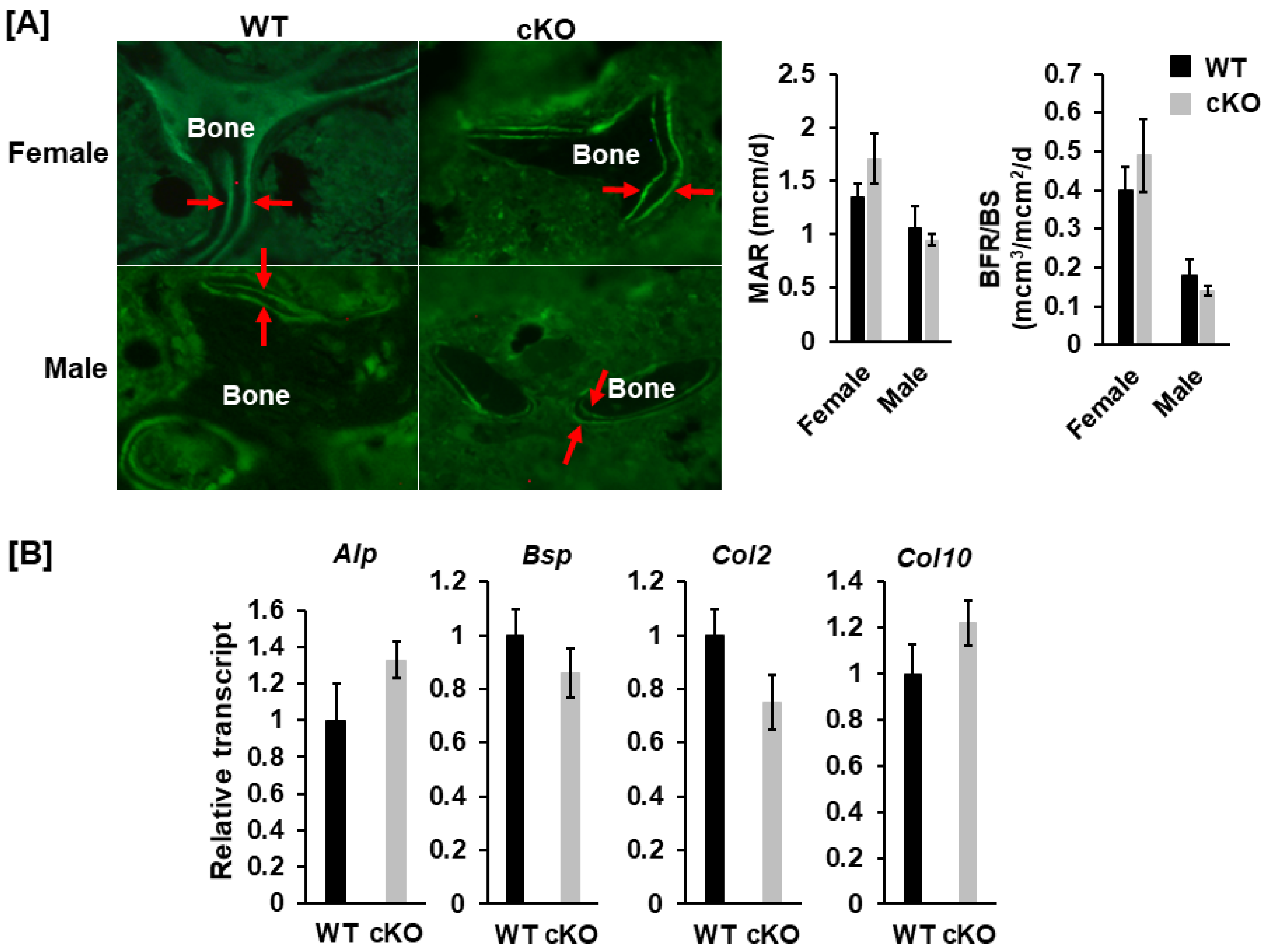 Life 13 00106 g006 Life 13 00106 g006