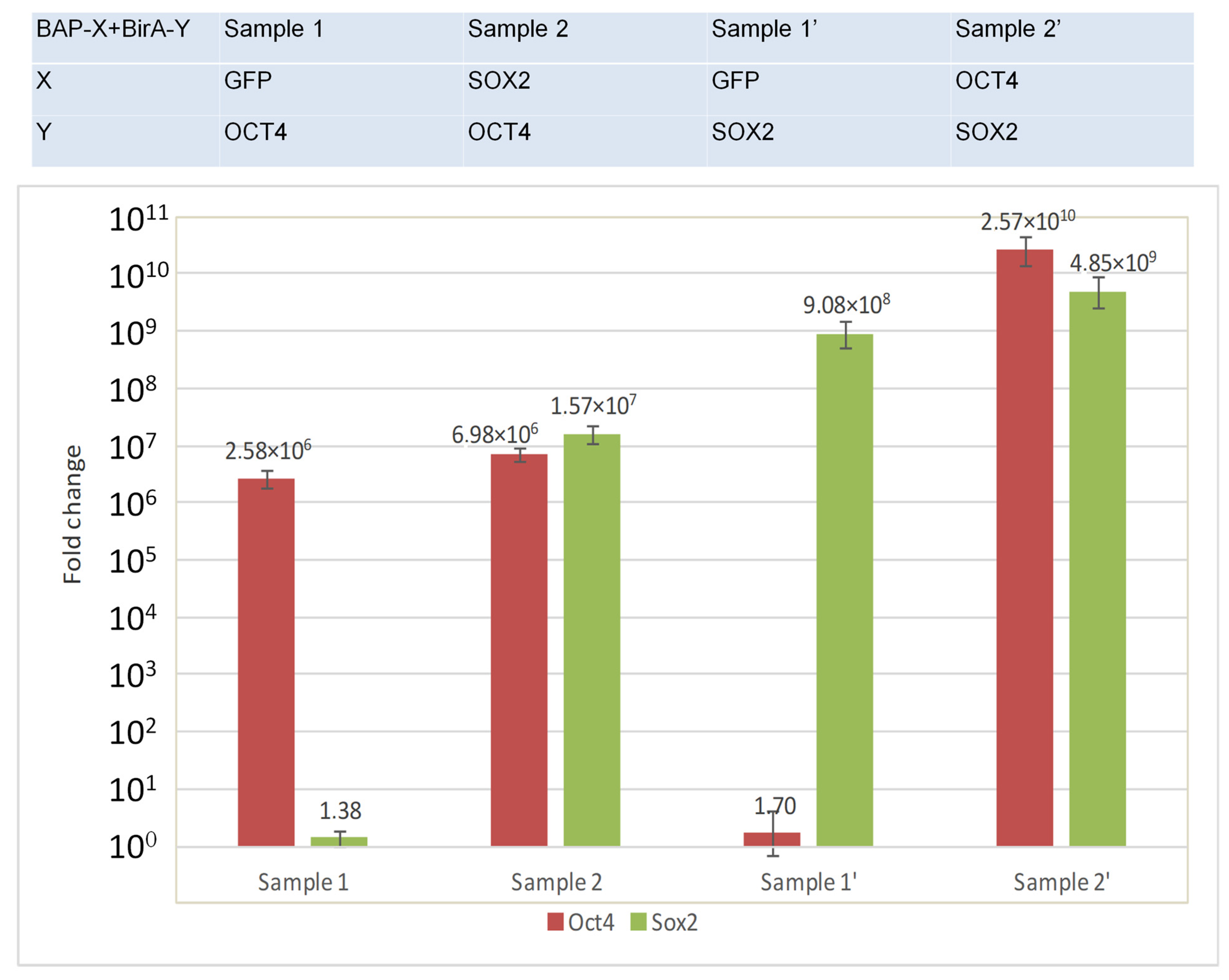 Life 13 00107 g002 Life 13 00107 g002