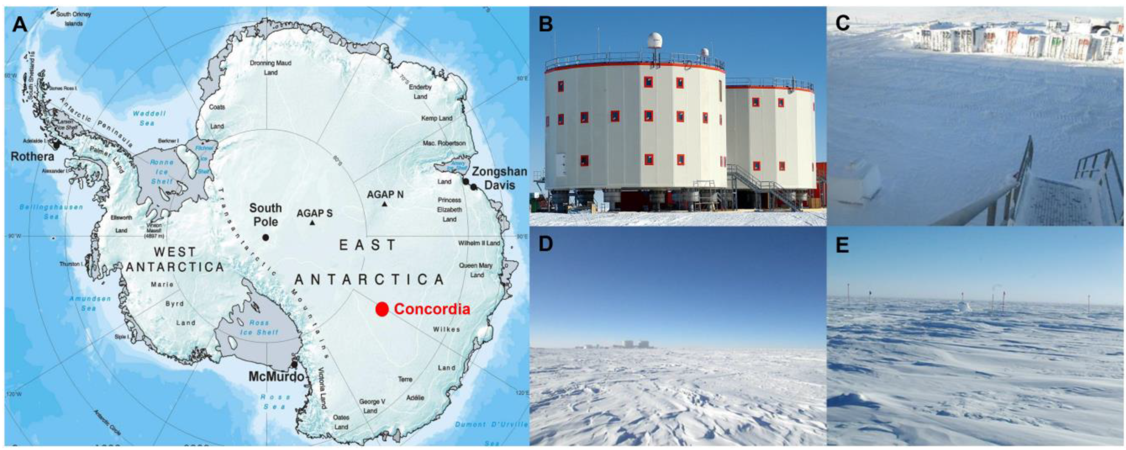 Life 13 00113 g001 Life 13 00113 g001