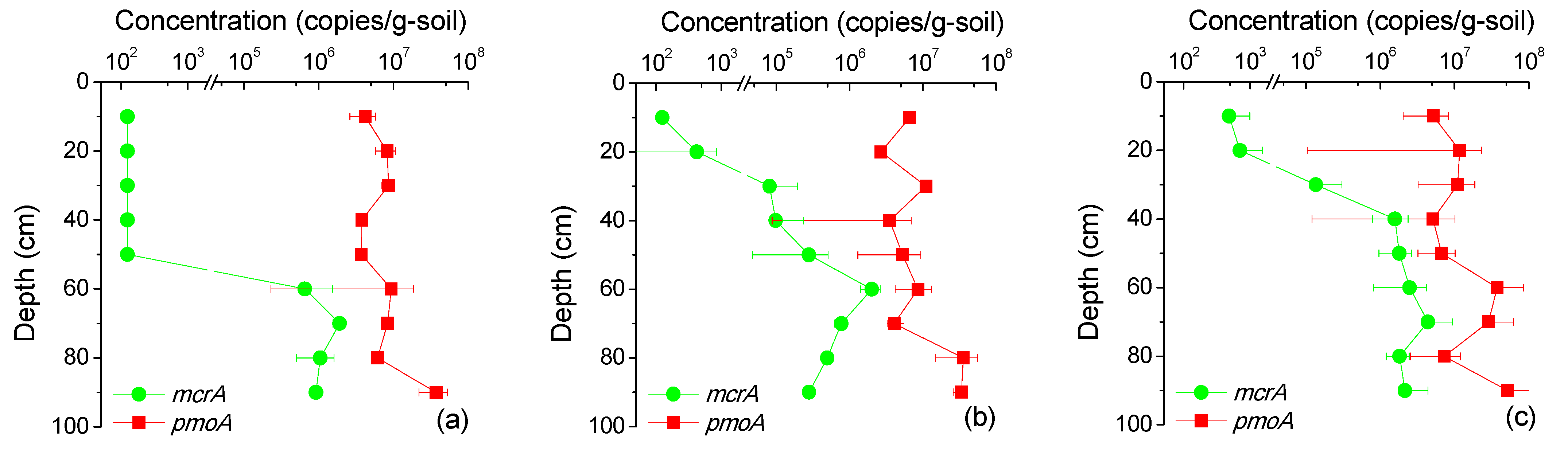 Life 13 00114 g004 Life 13 00114 g004