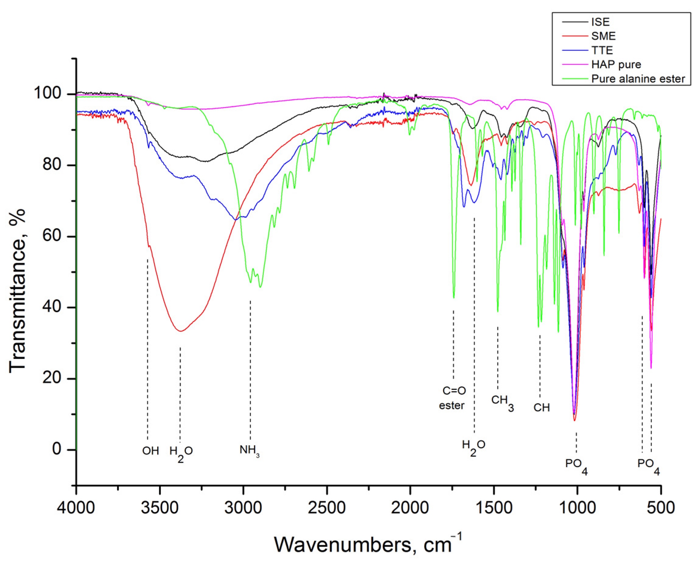 Life 13 00116 g003 Life 13 00116 g003