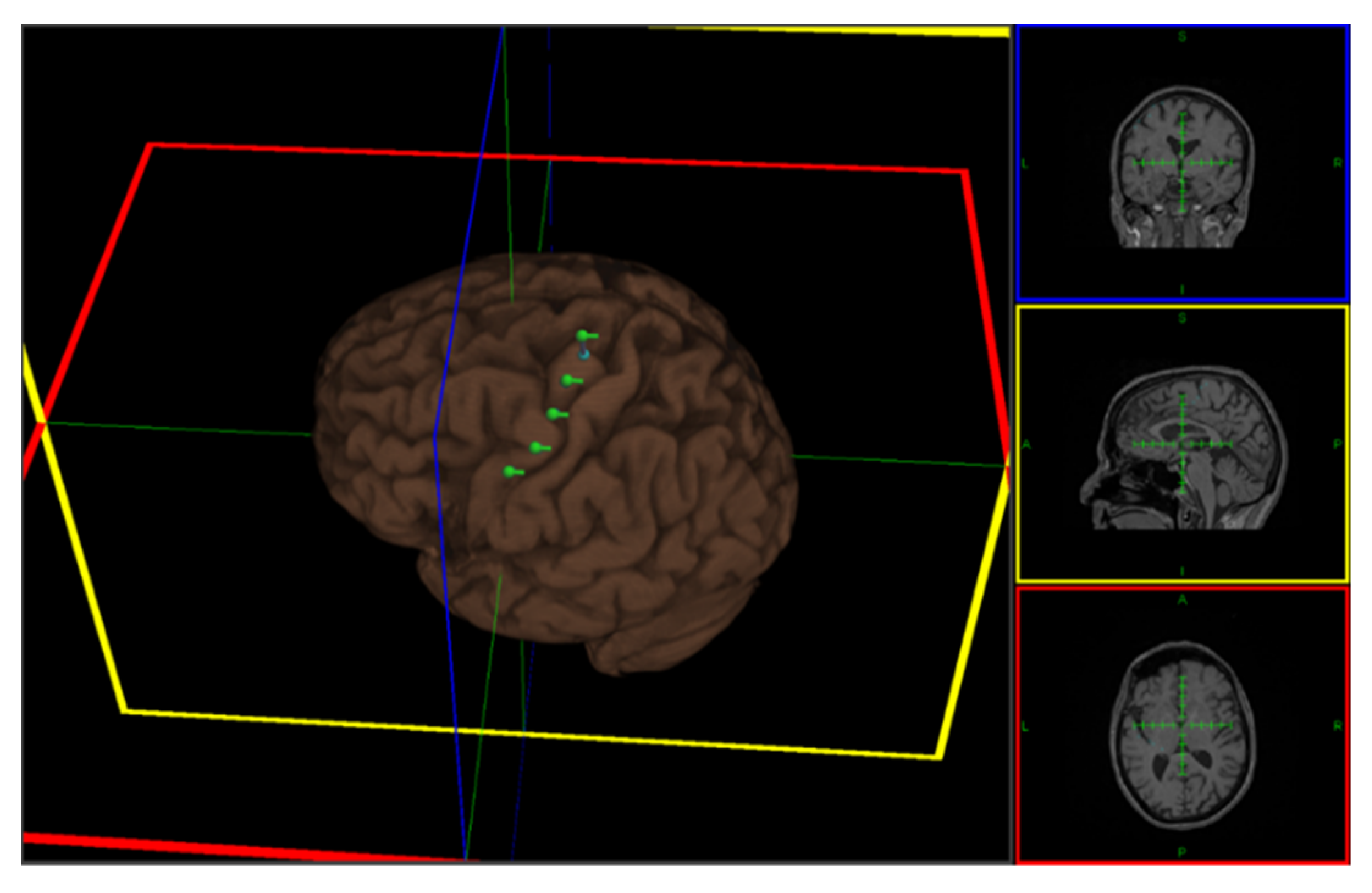 Life 13 00126 g002 Life 13 00126 g002